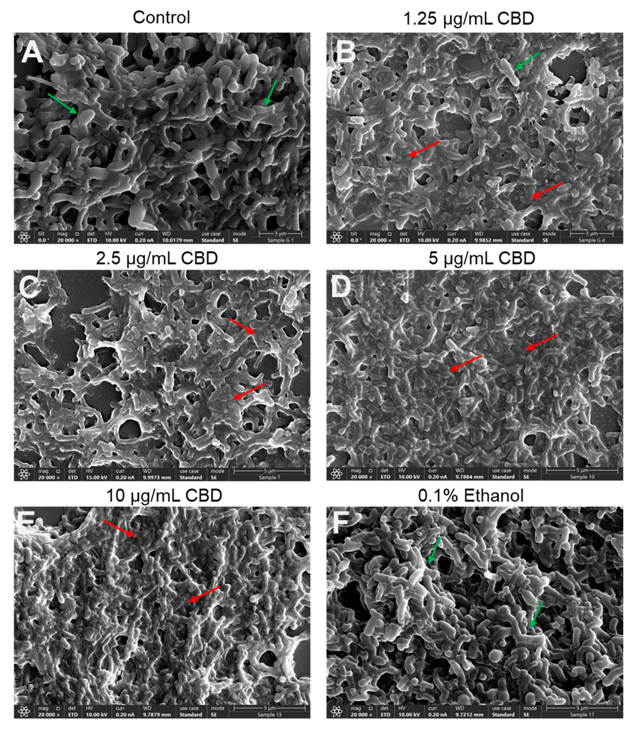 Antibiotics 14 00136 g004