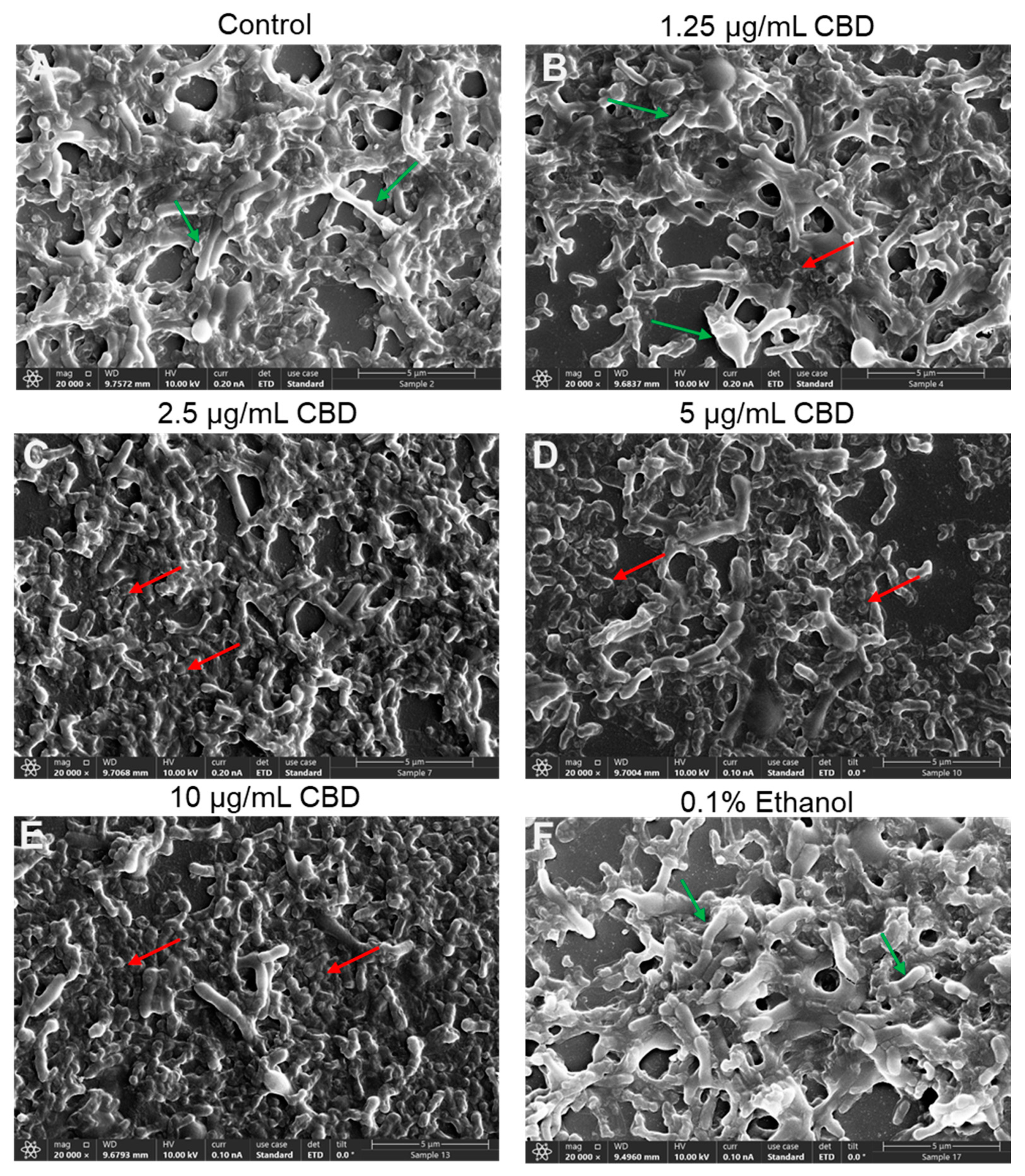 Antibiotics 14 00136 g008