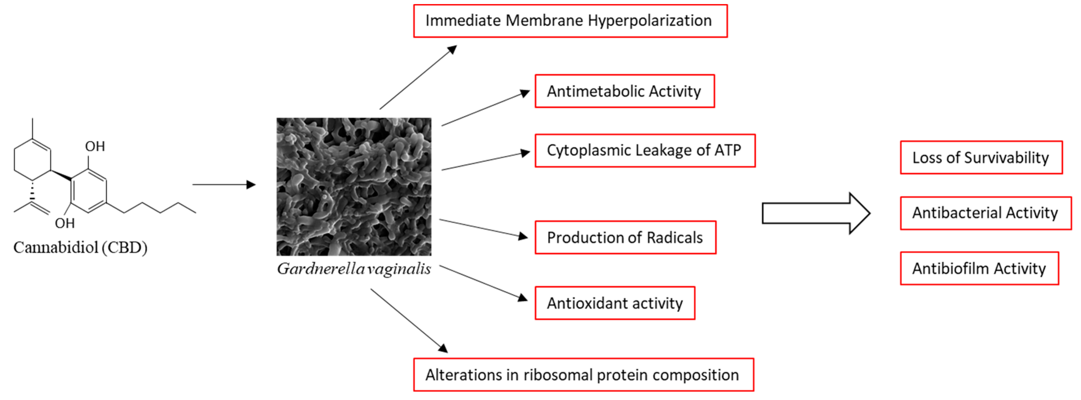 Antibiotics 14 00136 g009