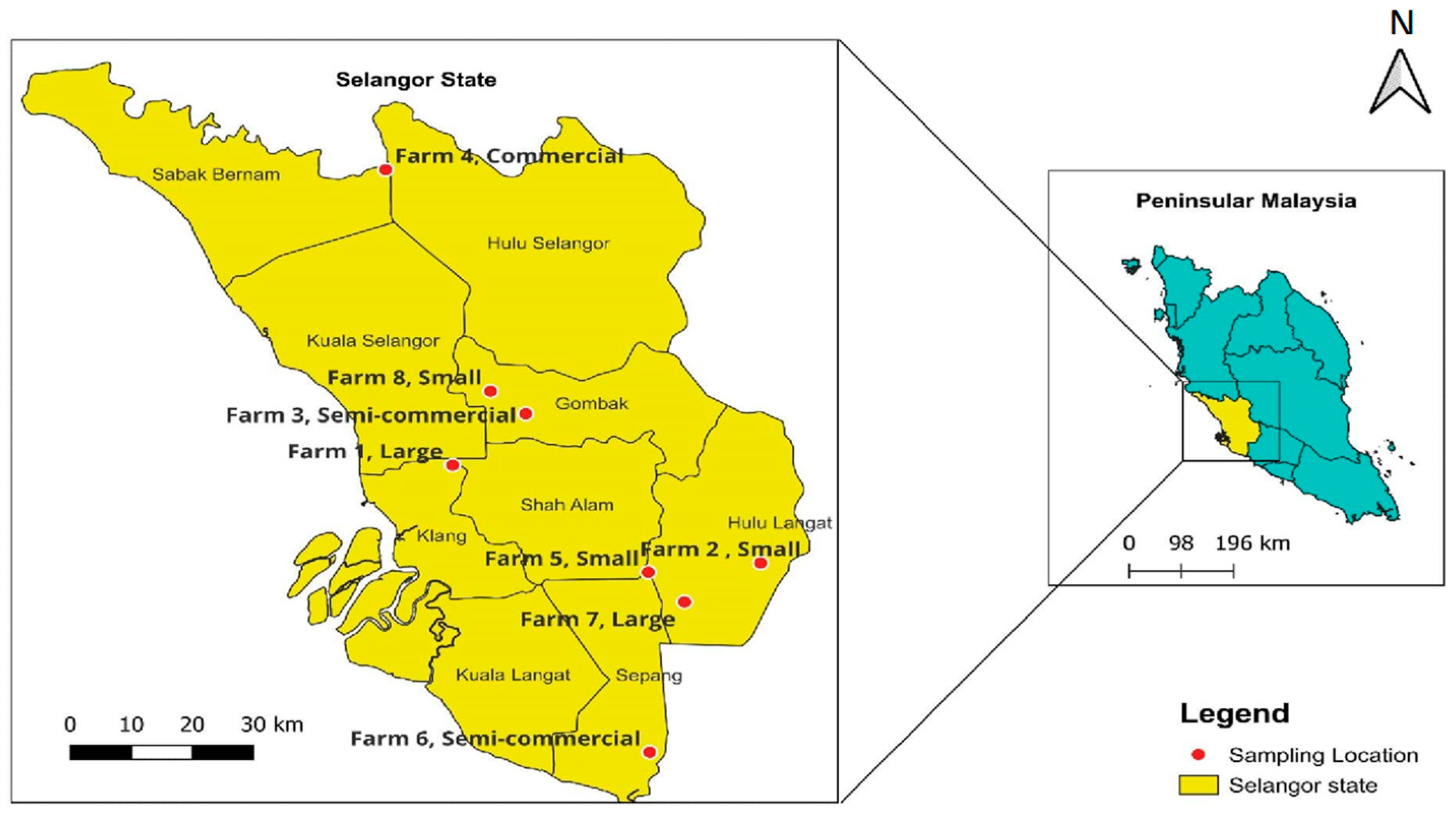 Antibiotics 14 00137 g005