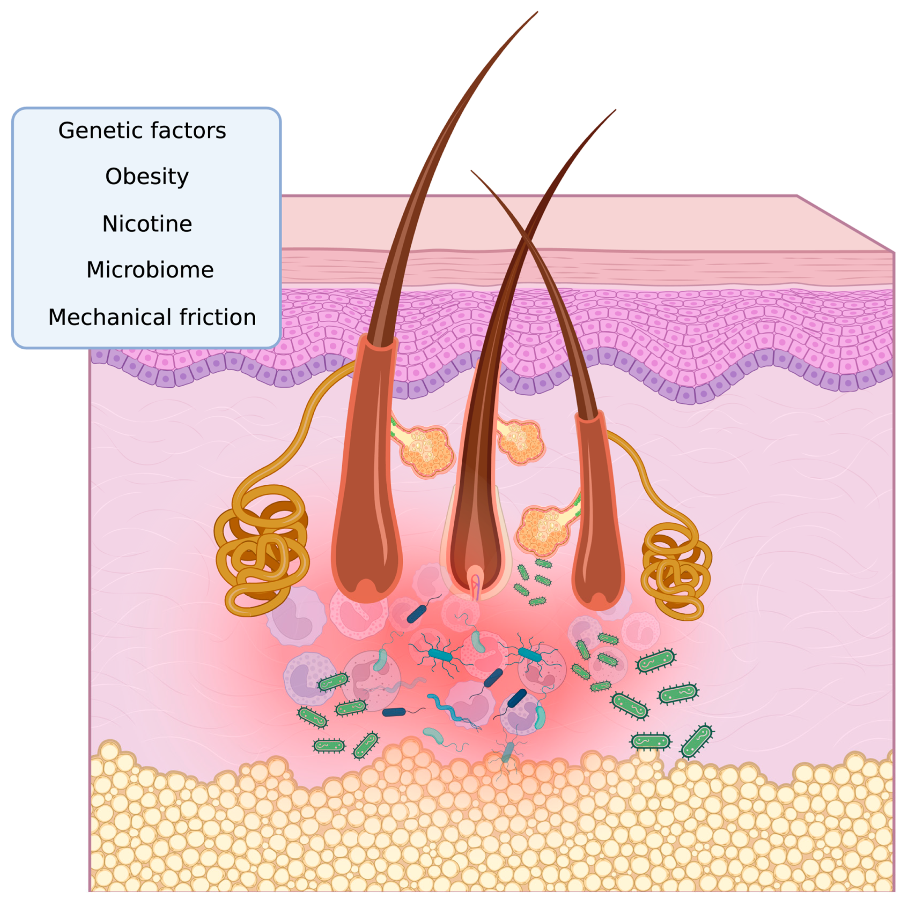 Antibiotics 14 00142 g001