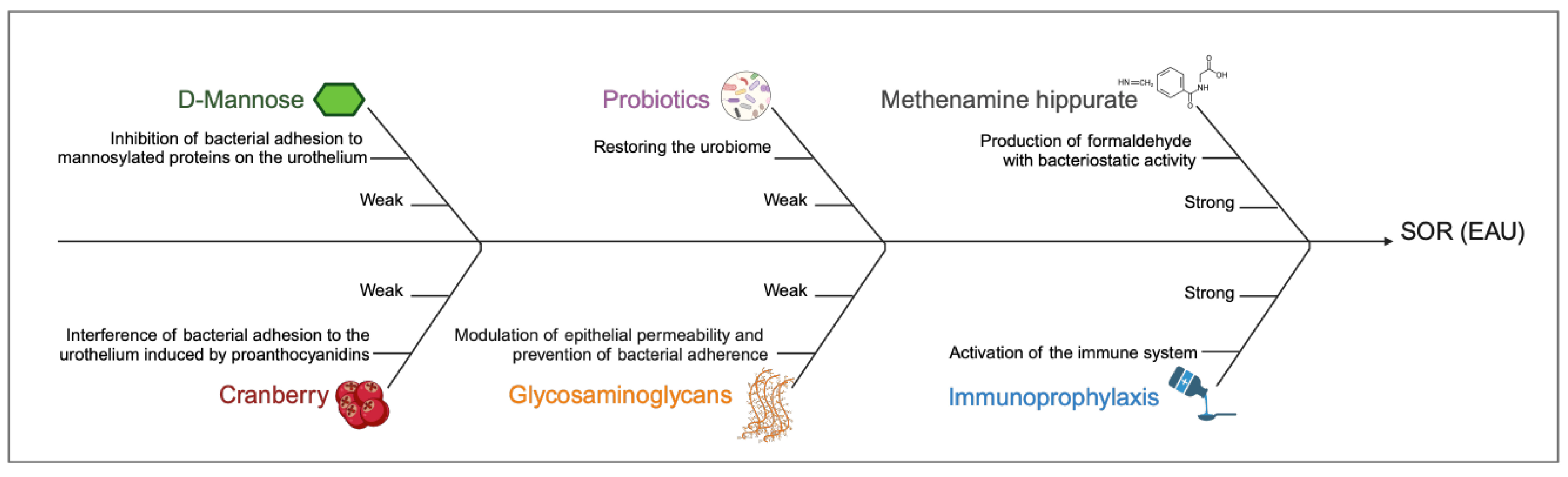 Antibiotics 14 00144 g001