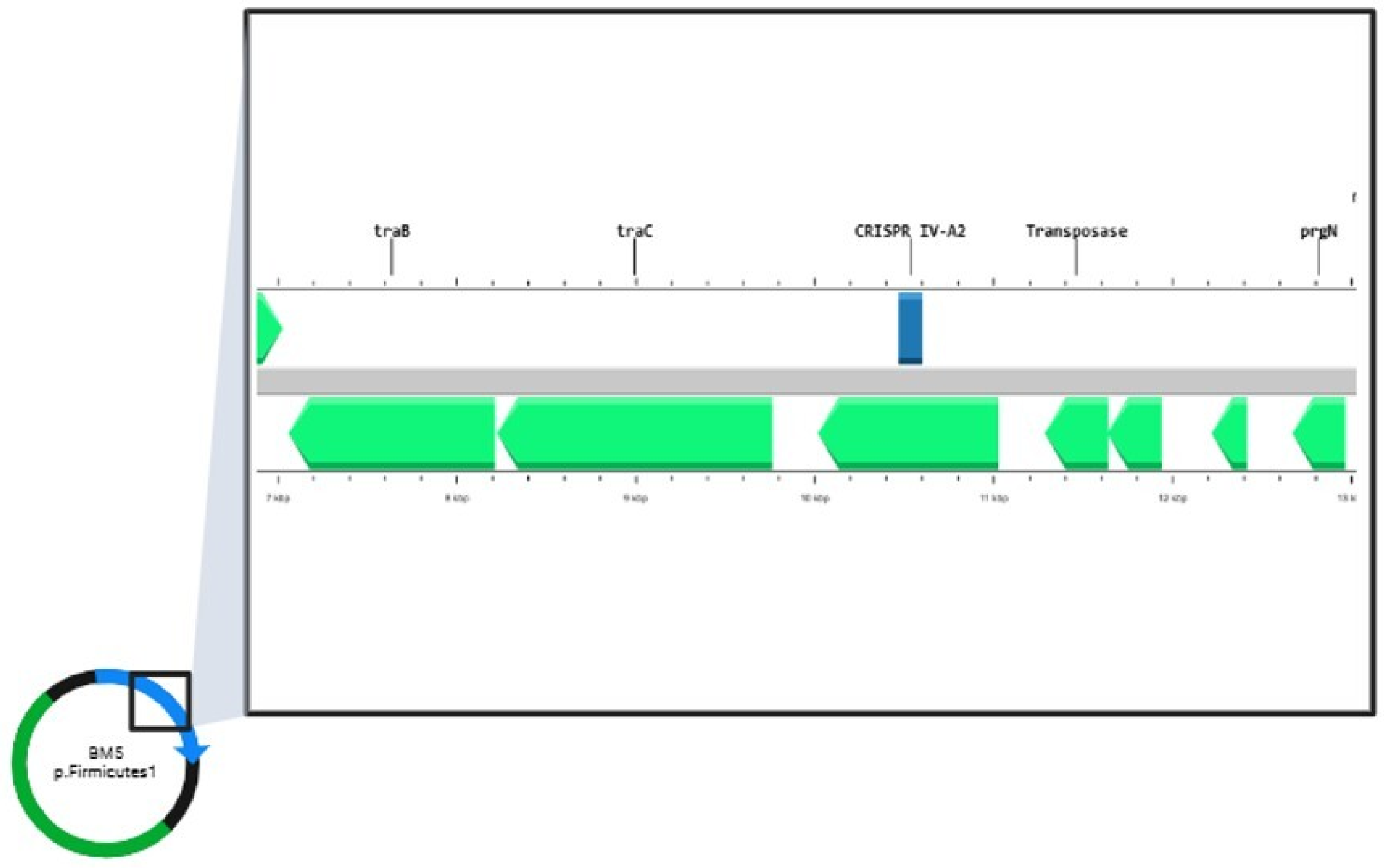 Antibiotics 14 00145 g004 Antibiotics 14 00145 g004