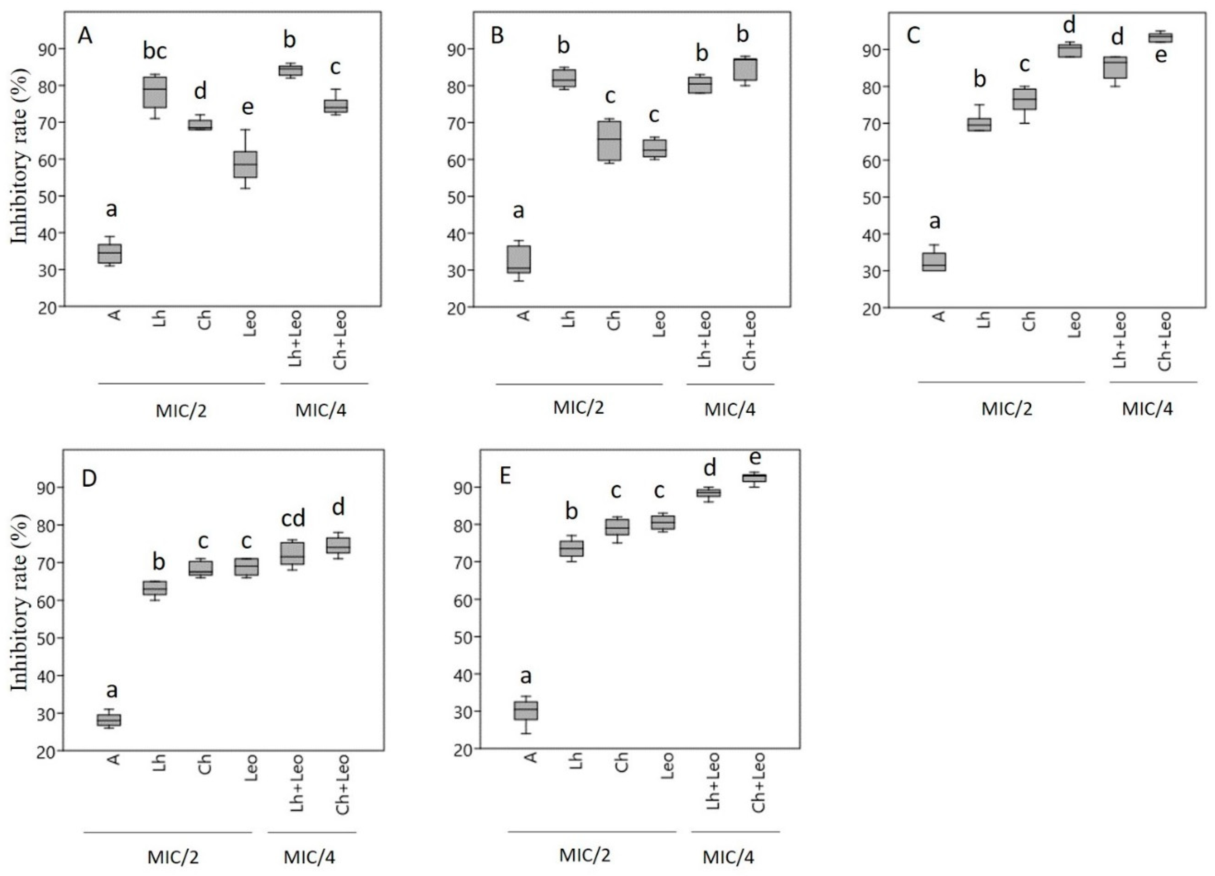 Antibiotics 14 00146 g002