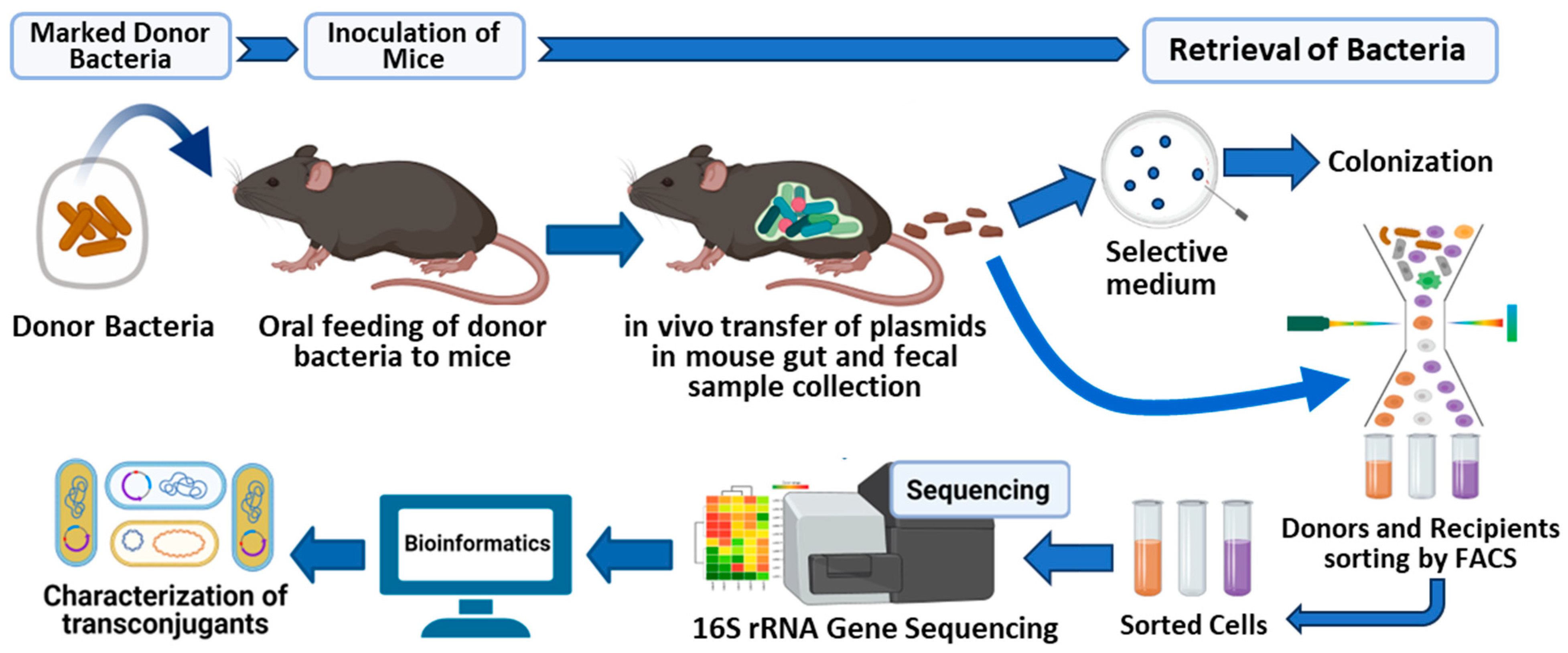 Antibiotics 14 00152 g001