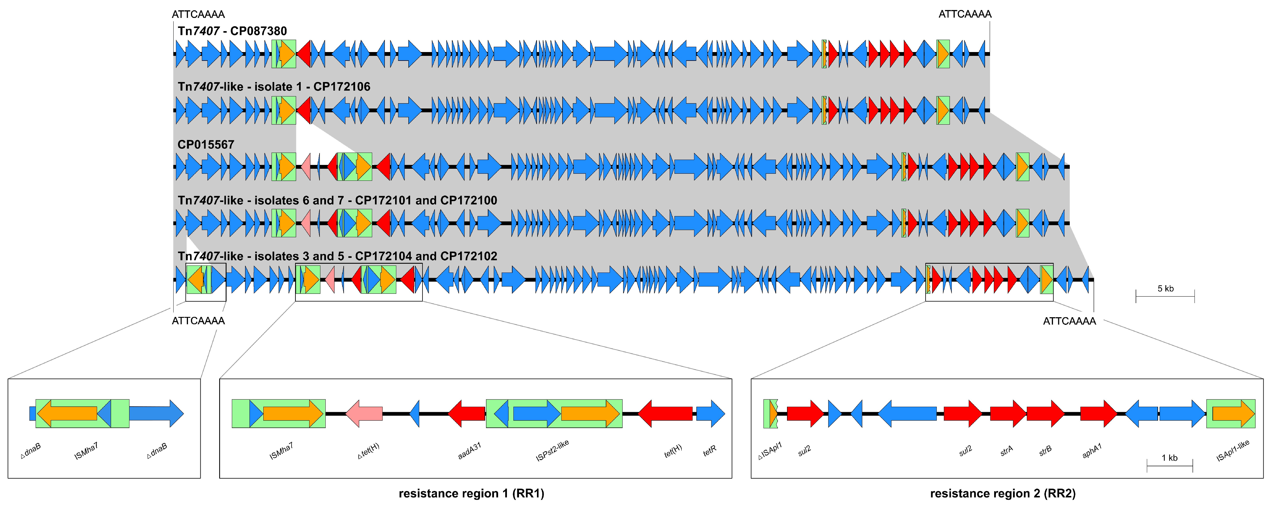 Antibiotics 14 00153 g002