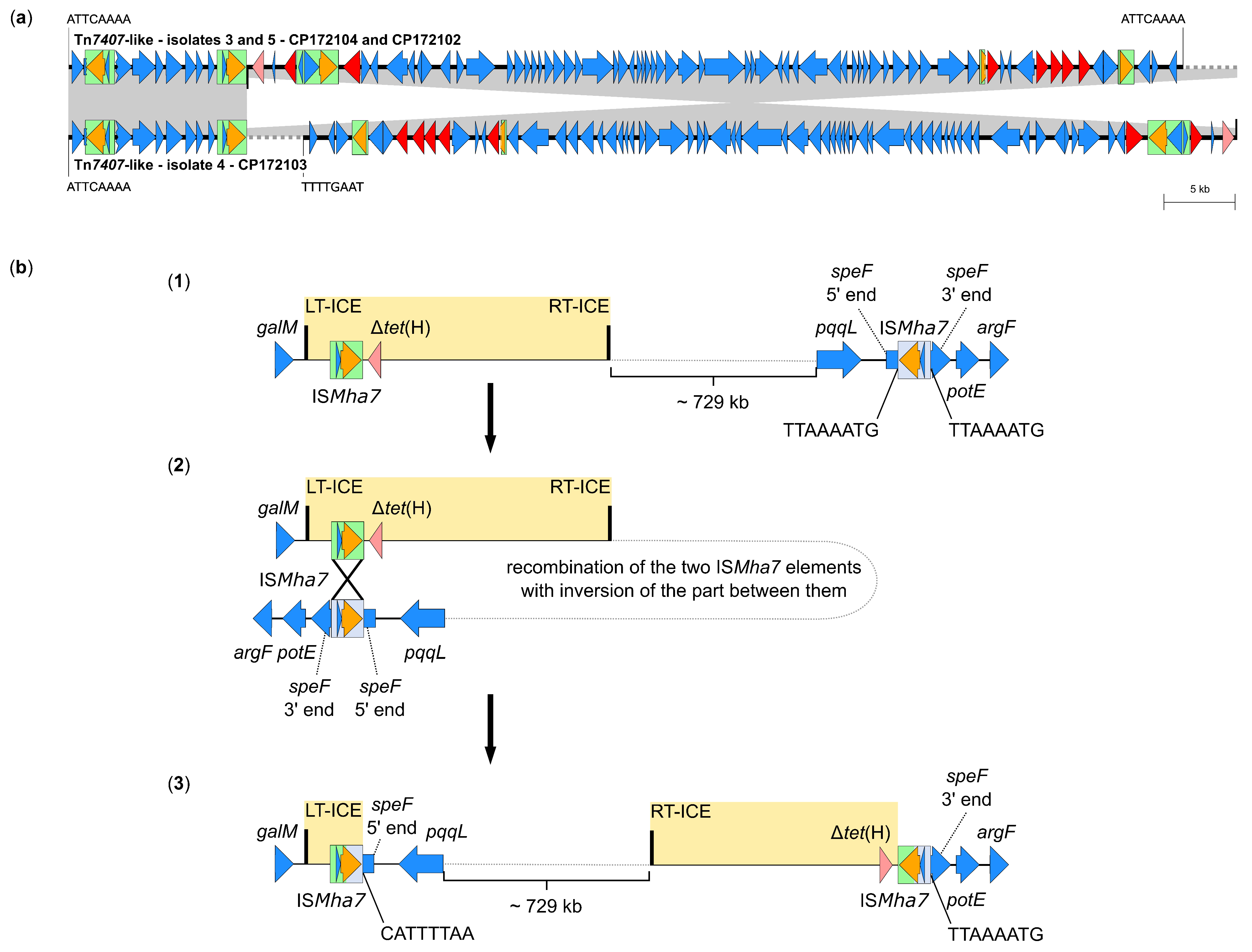 Antibiotics 14 00153 g003