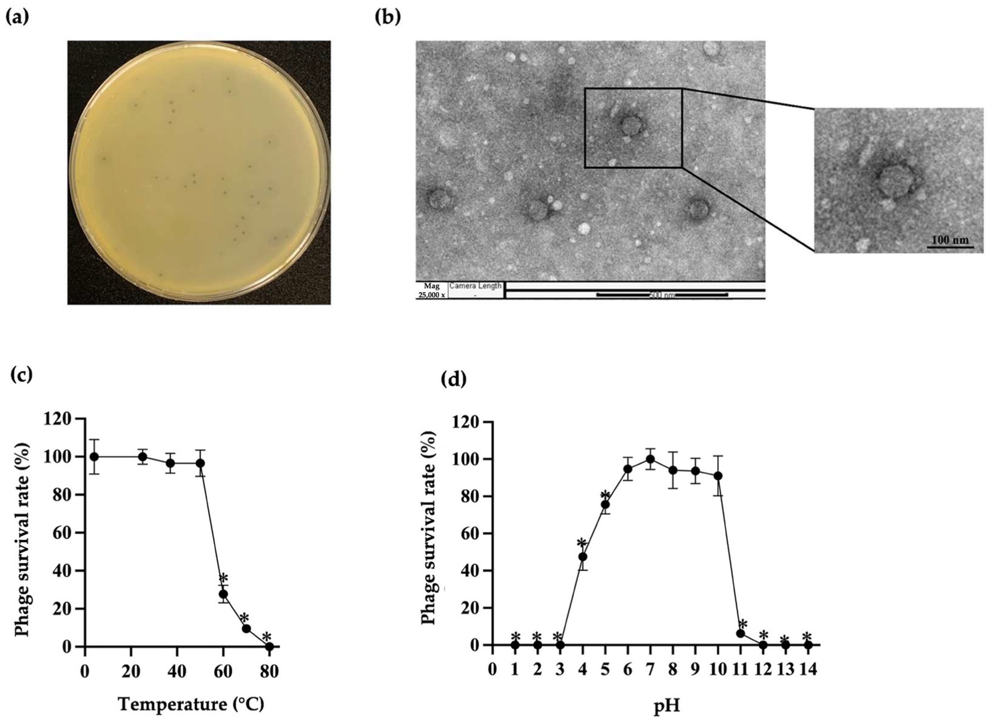 Antibiotics 14 00157 g001