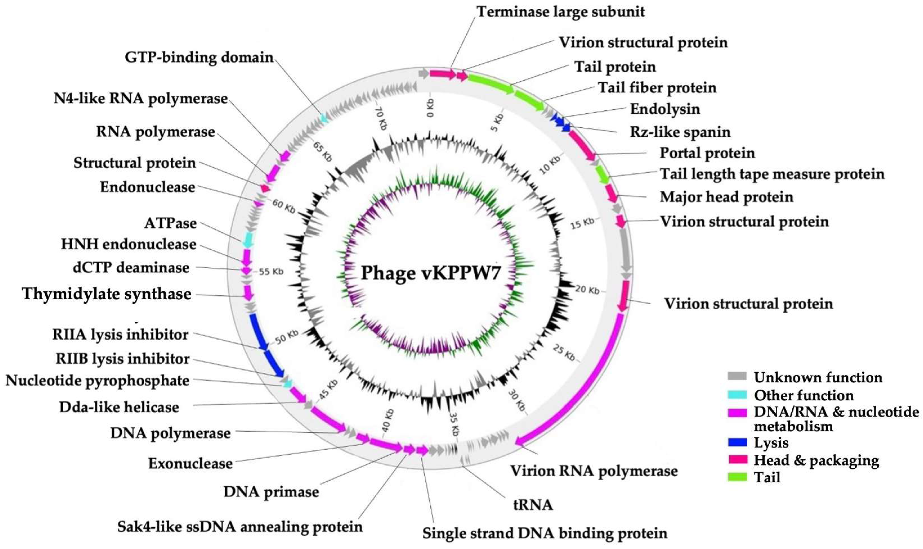 Antibiotics 14 00157 g004