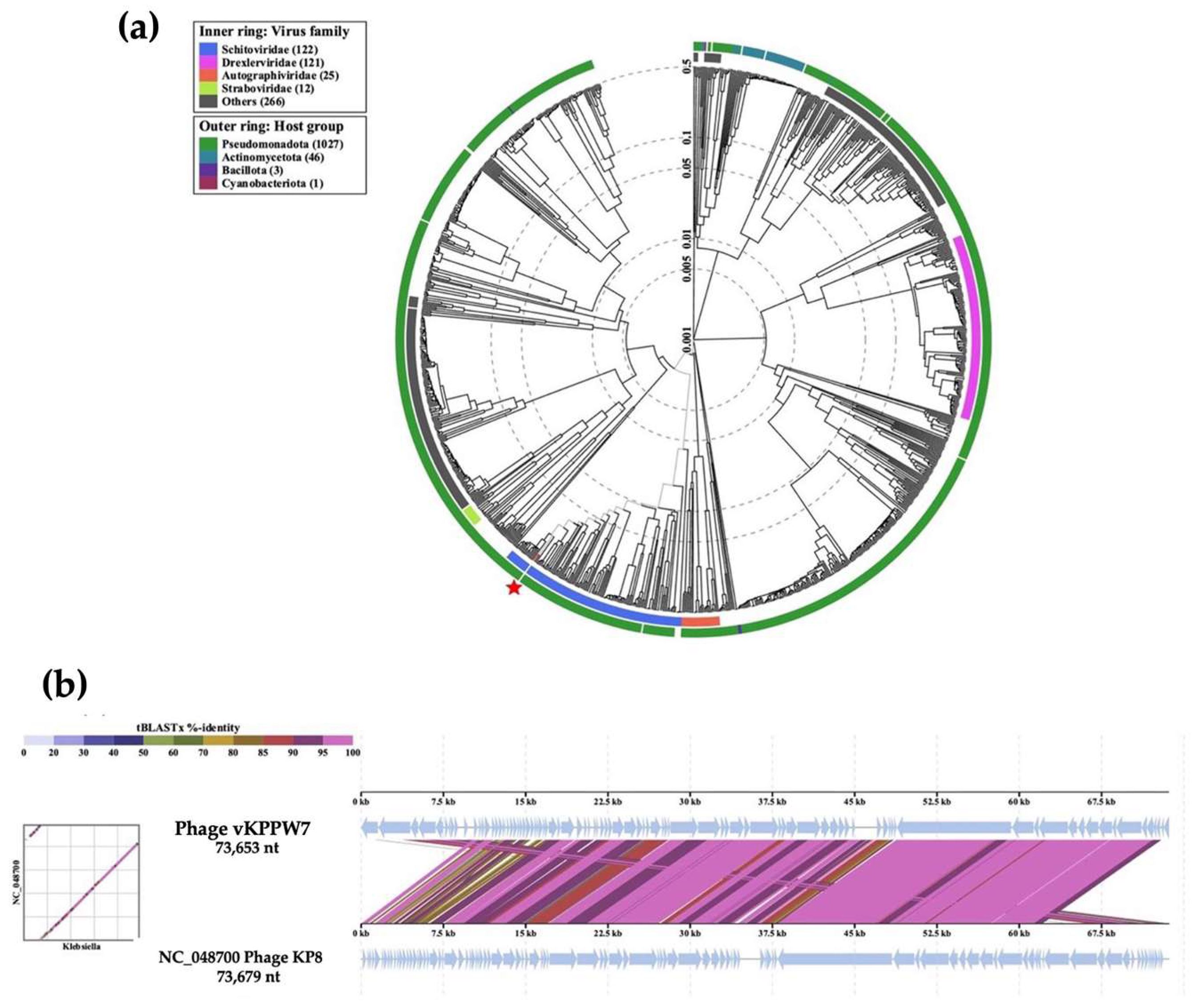 Antibiotics 14 00157 g005
