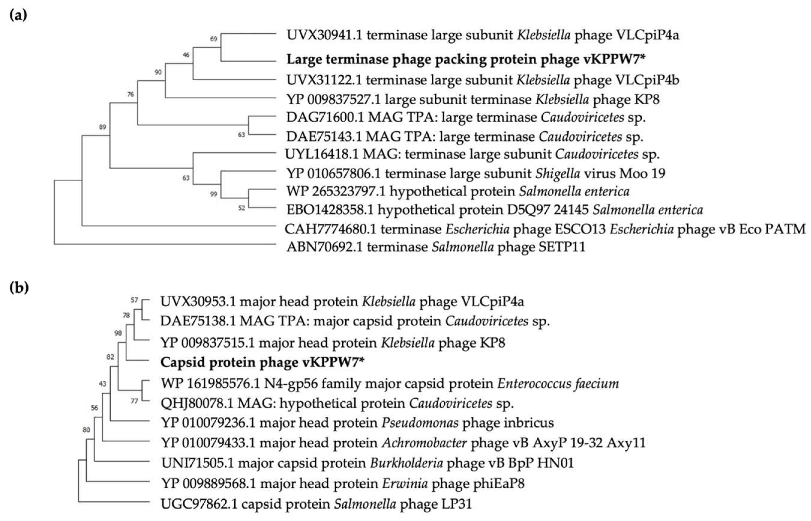Antibiotics 14 00157 g006