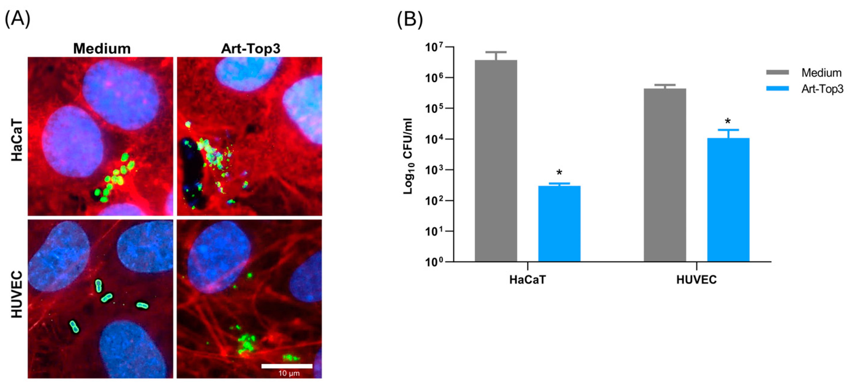 Antibiotics 14 00162 g004