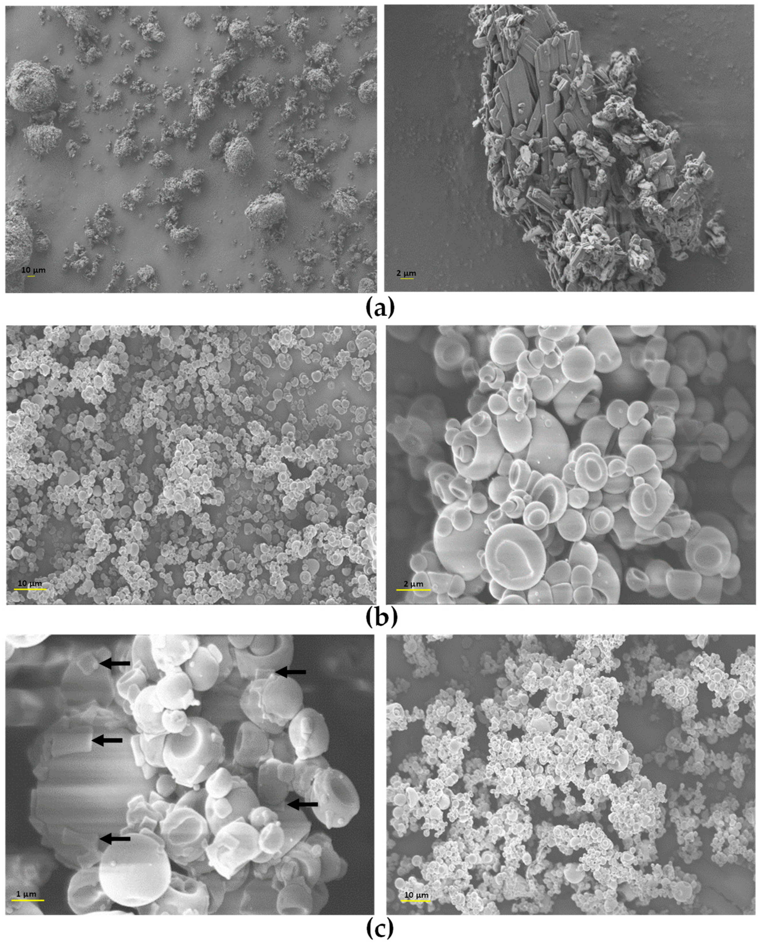 Antibiotics 14 00169 g004