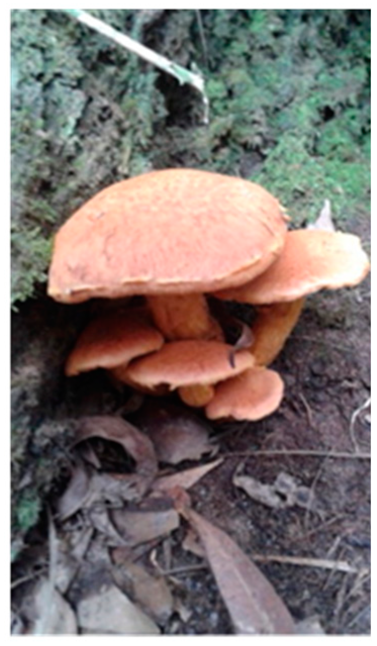 Antibiotics 14 00179 g001