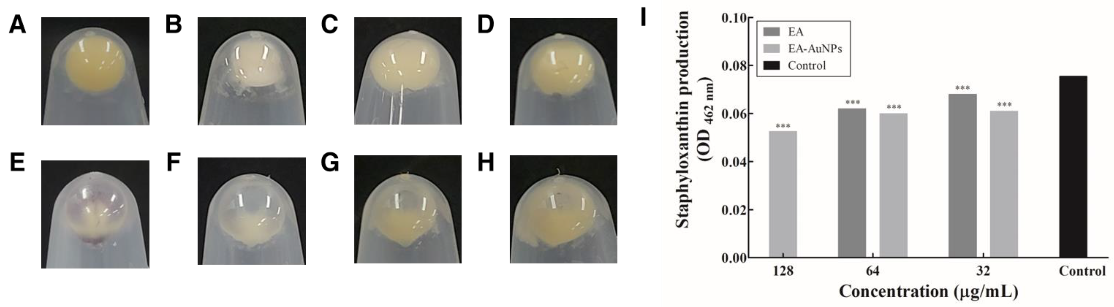 Antibiotics 14 00182 g009