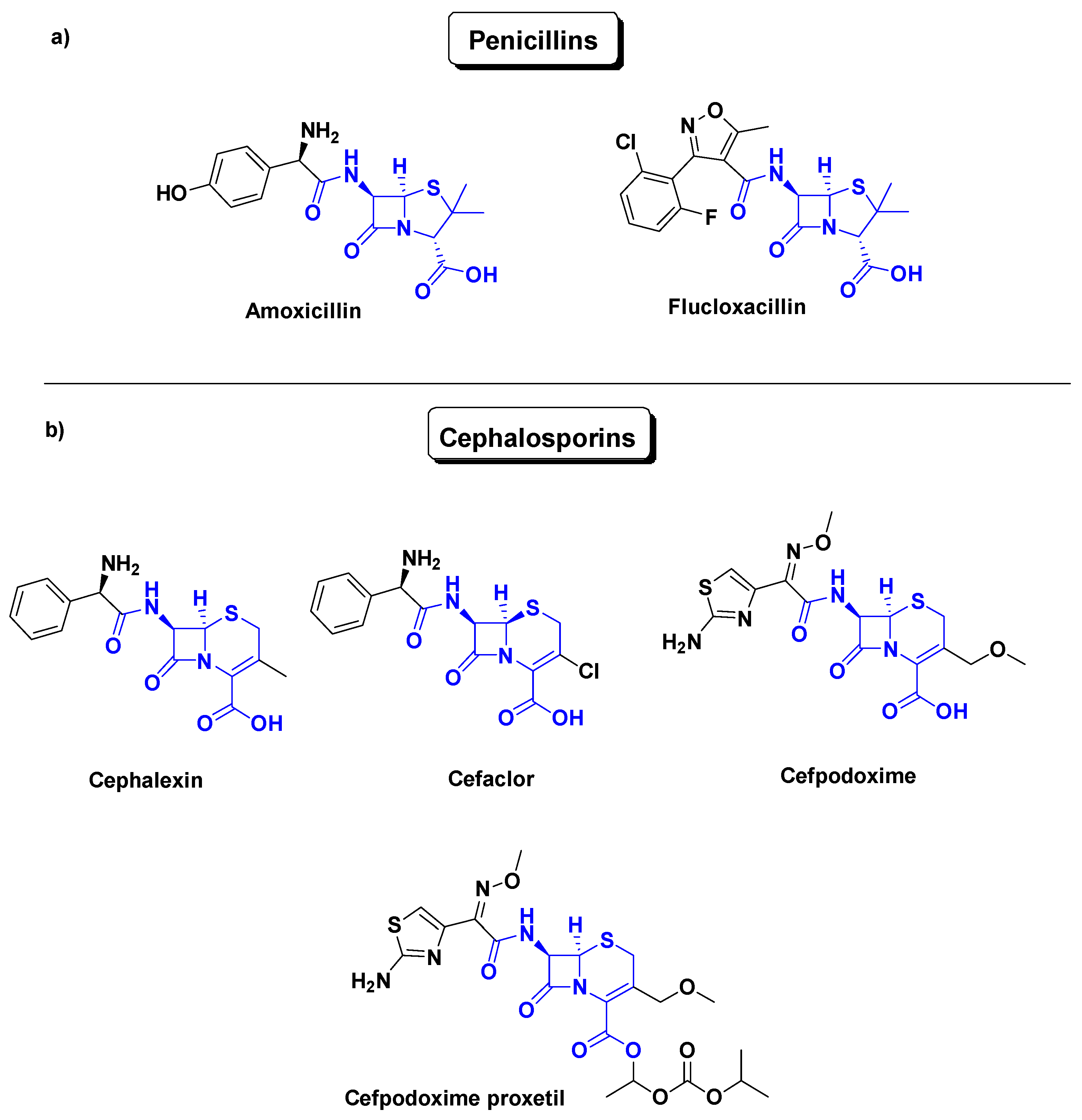 Antibiotics 14 00185 g001