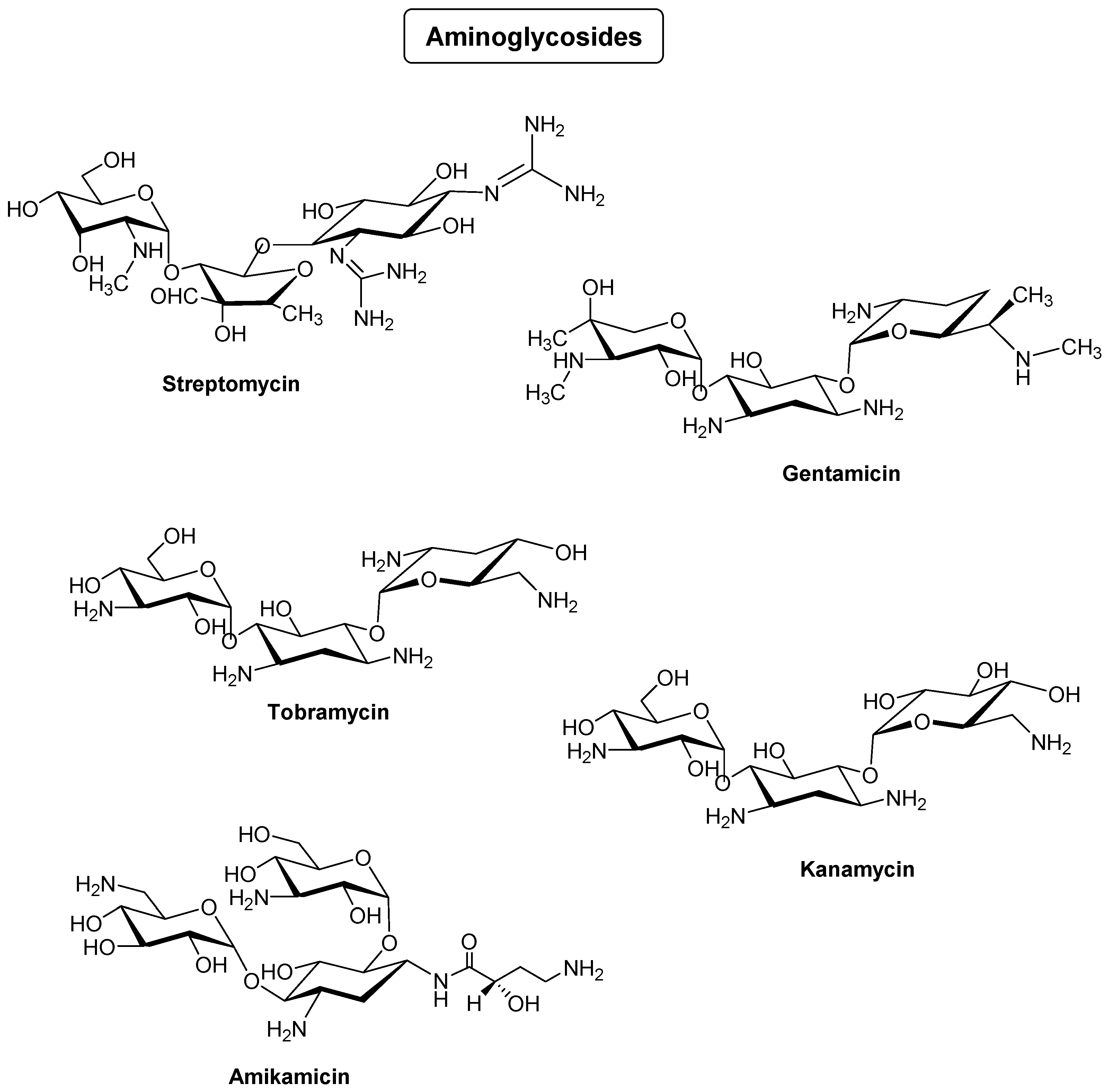 Antibiotics 14 00185 g005