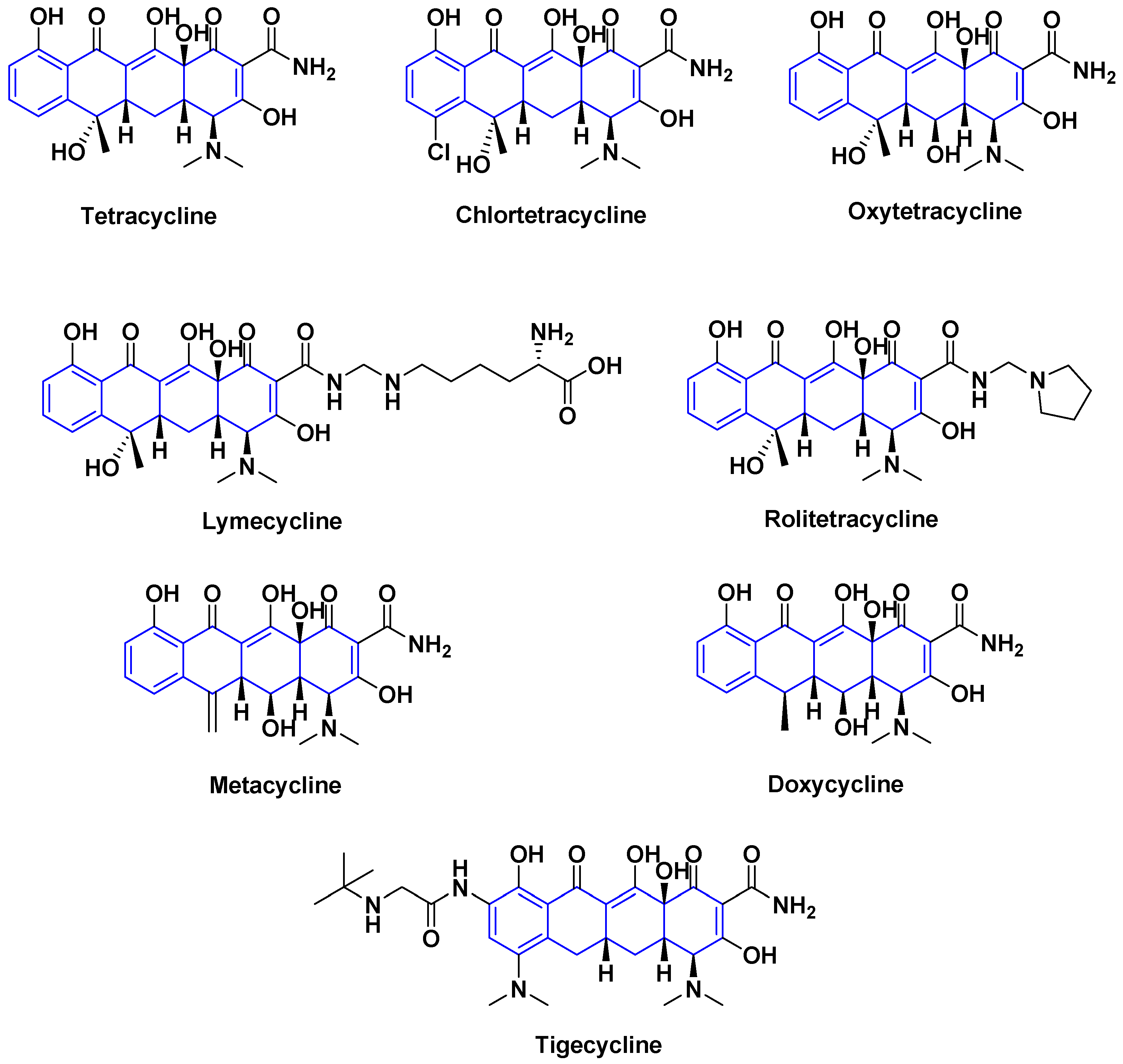 Antibiotics 14 00185 g006