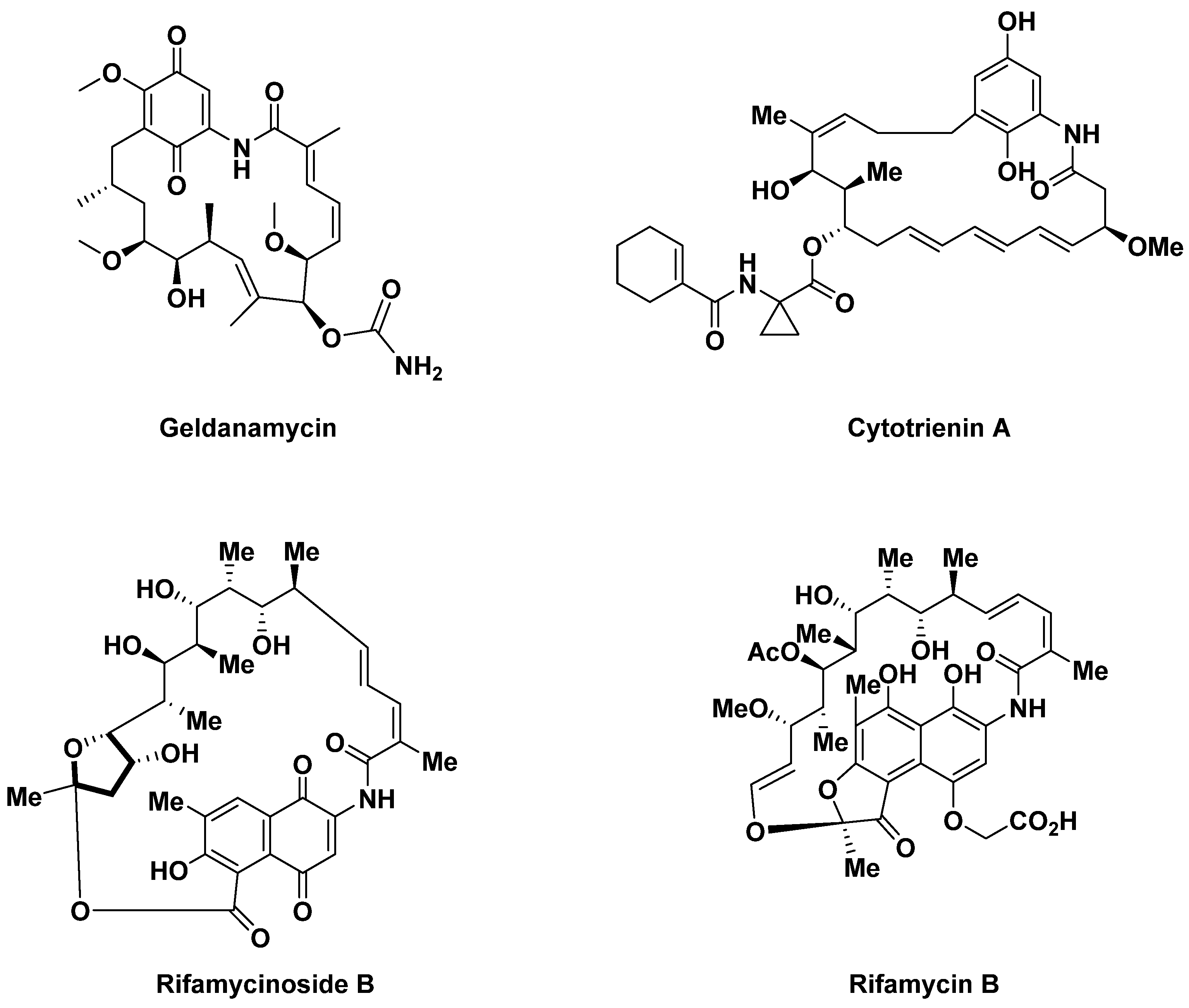 Antibiotics 14 00185 g008