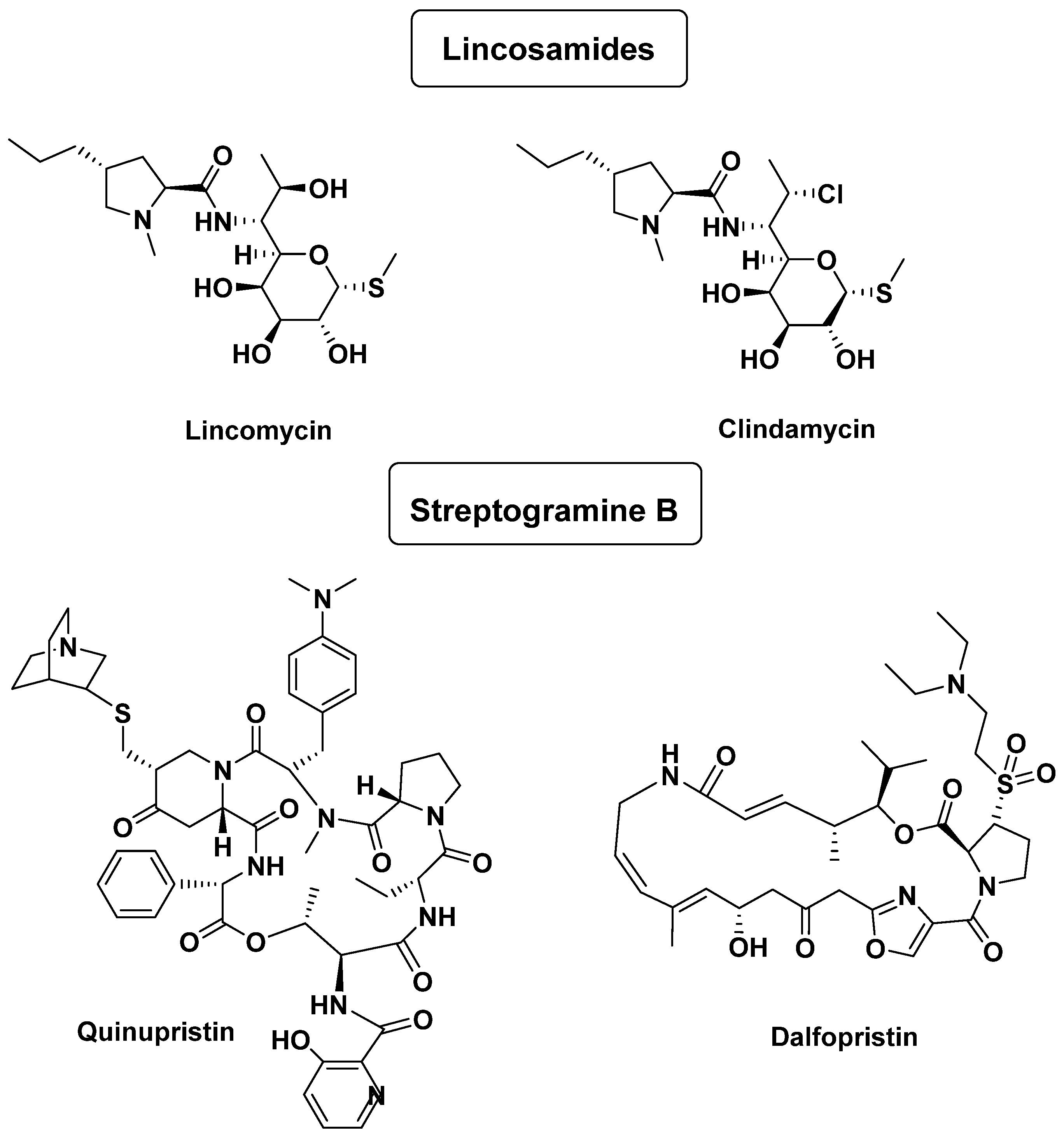 Antibiotics 14 00185 g009