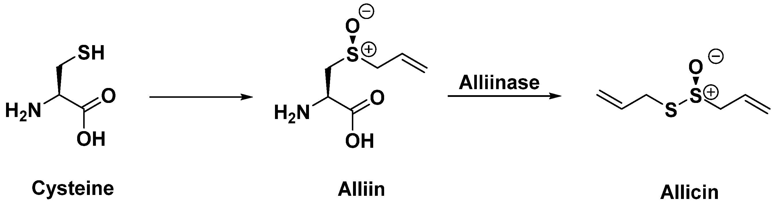 Antibiotics 14 00185 g015