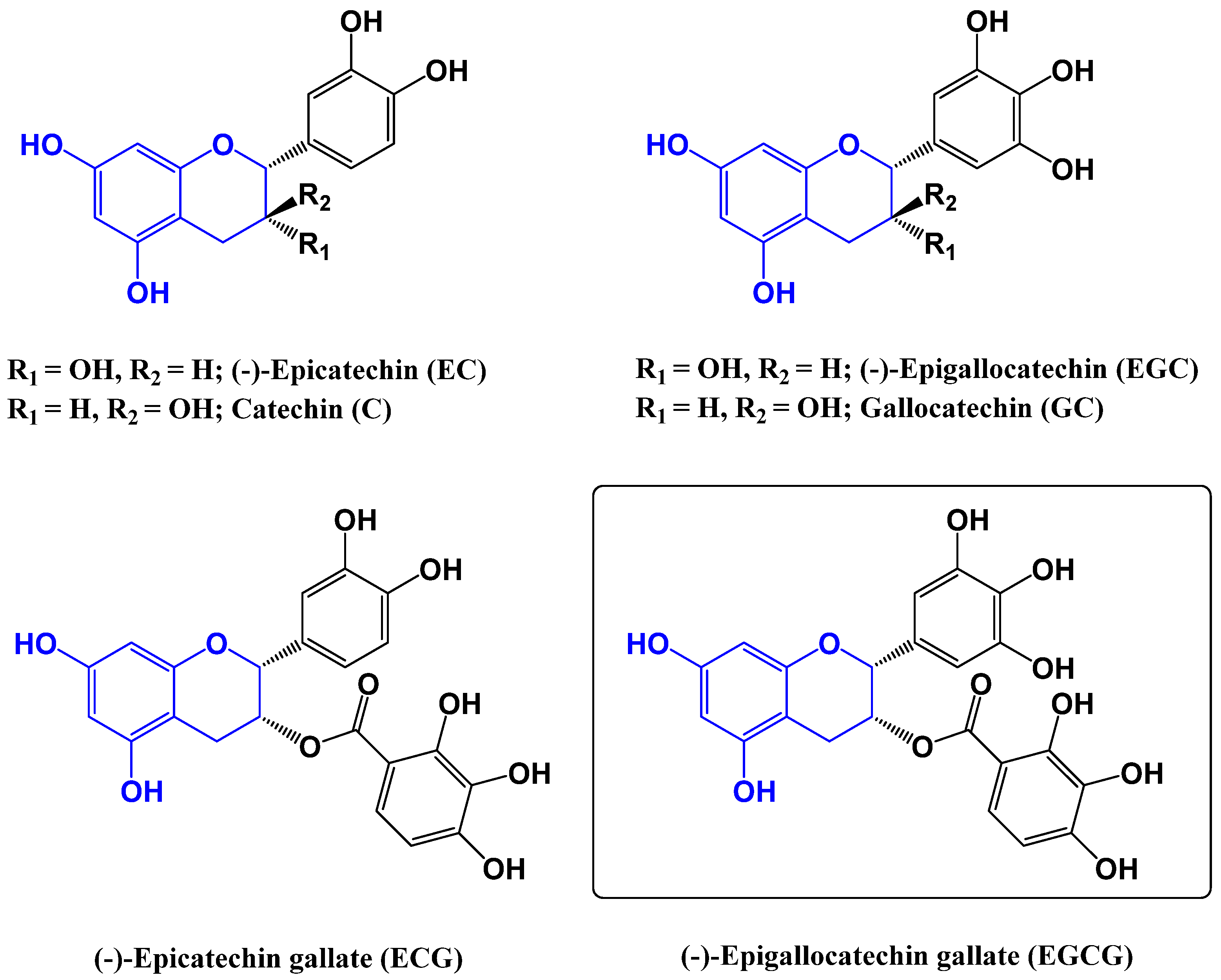 Antibiotics 14 00185 g024