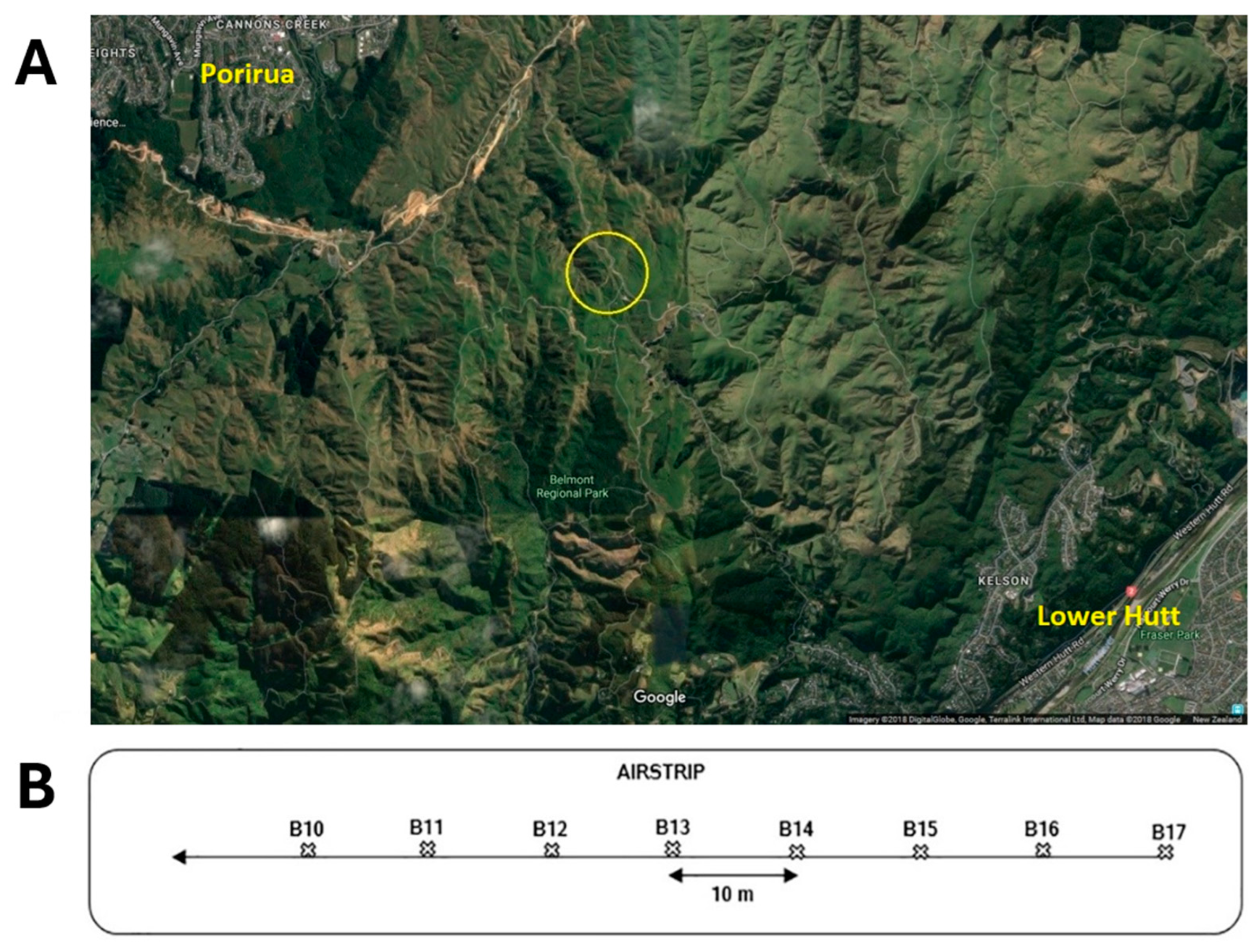 Antibiotics 14 00192 g001