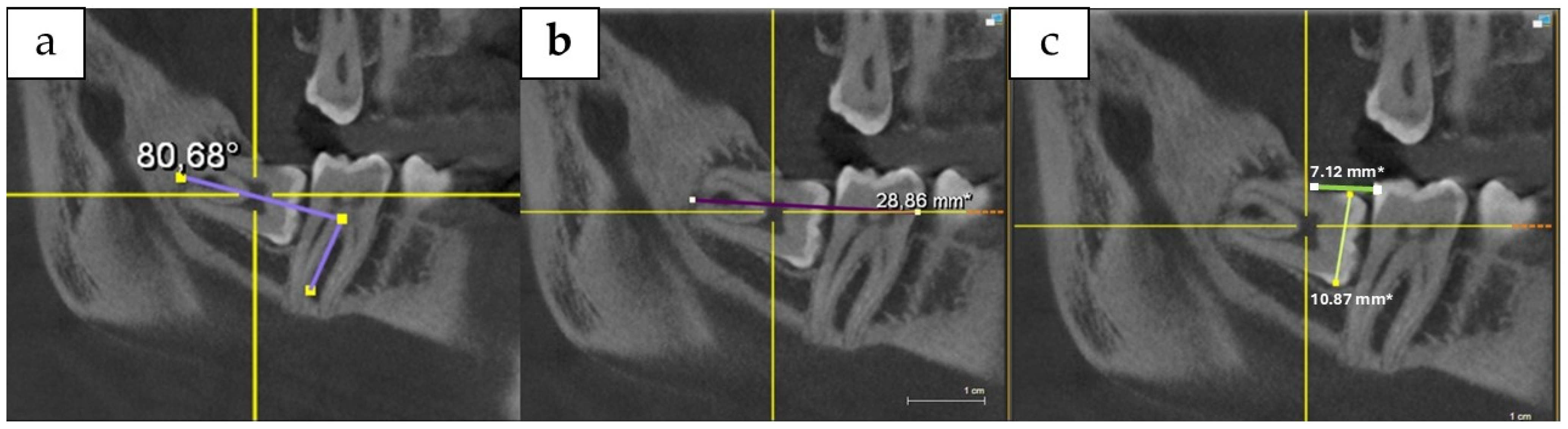 Antibiotics 14 00195 g006