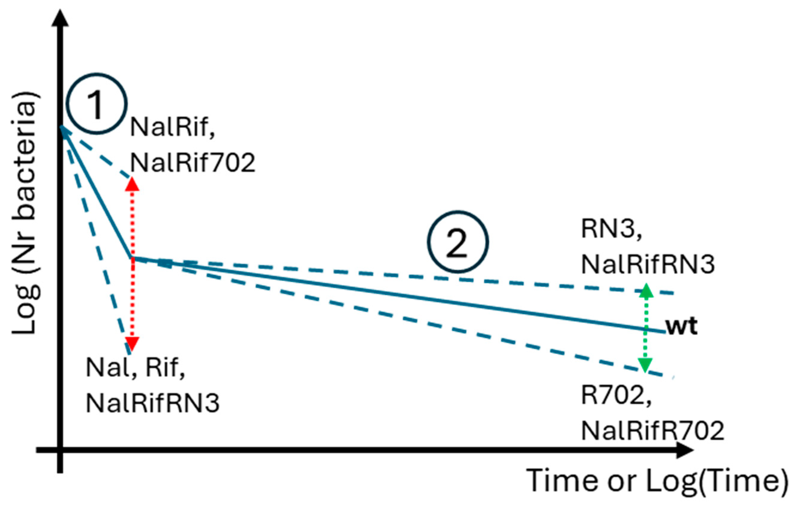 Antibiotics 14 00201 g004
