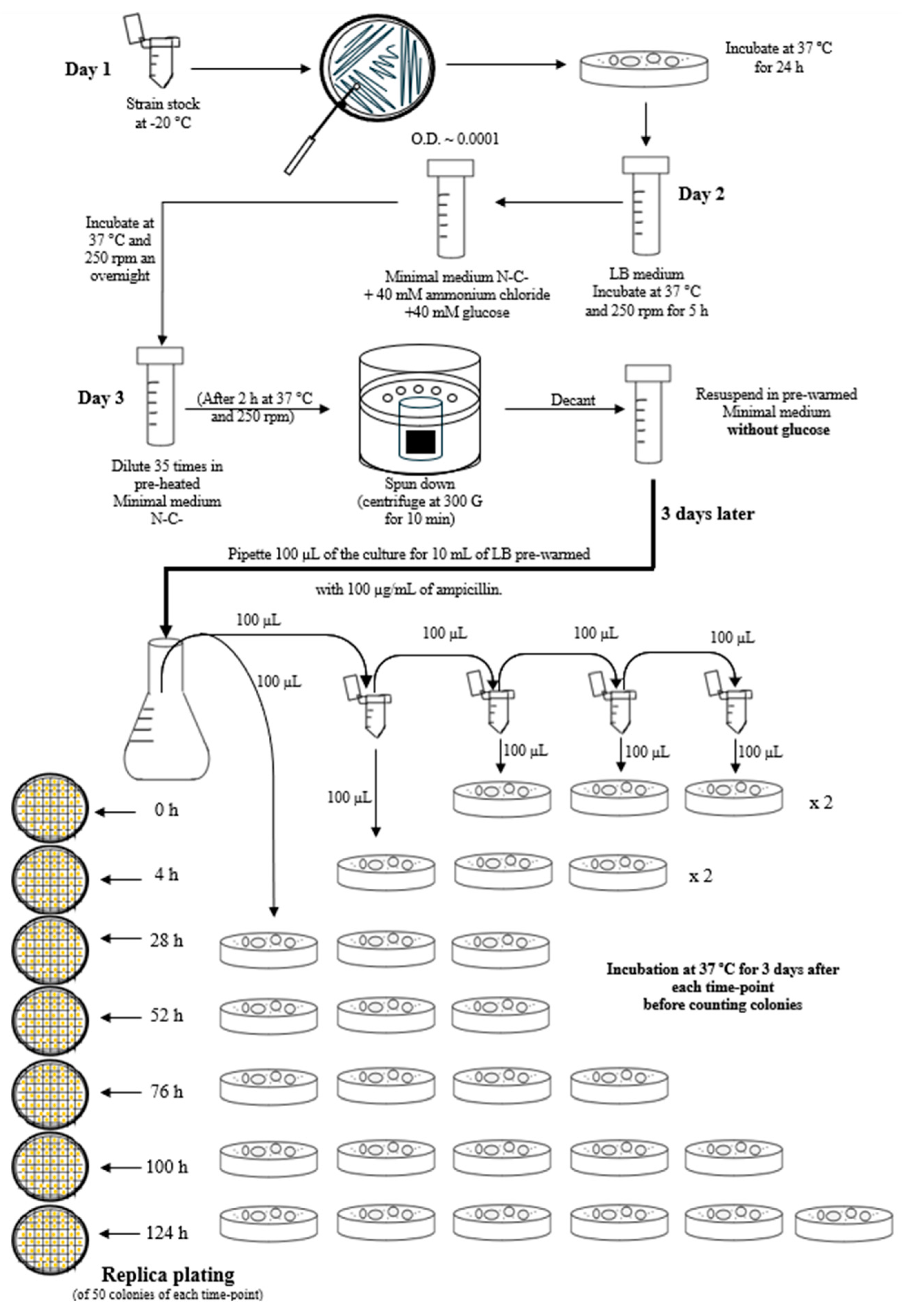 Antibiotics 14 00201 g009