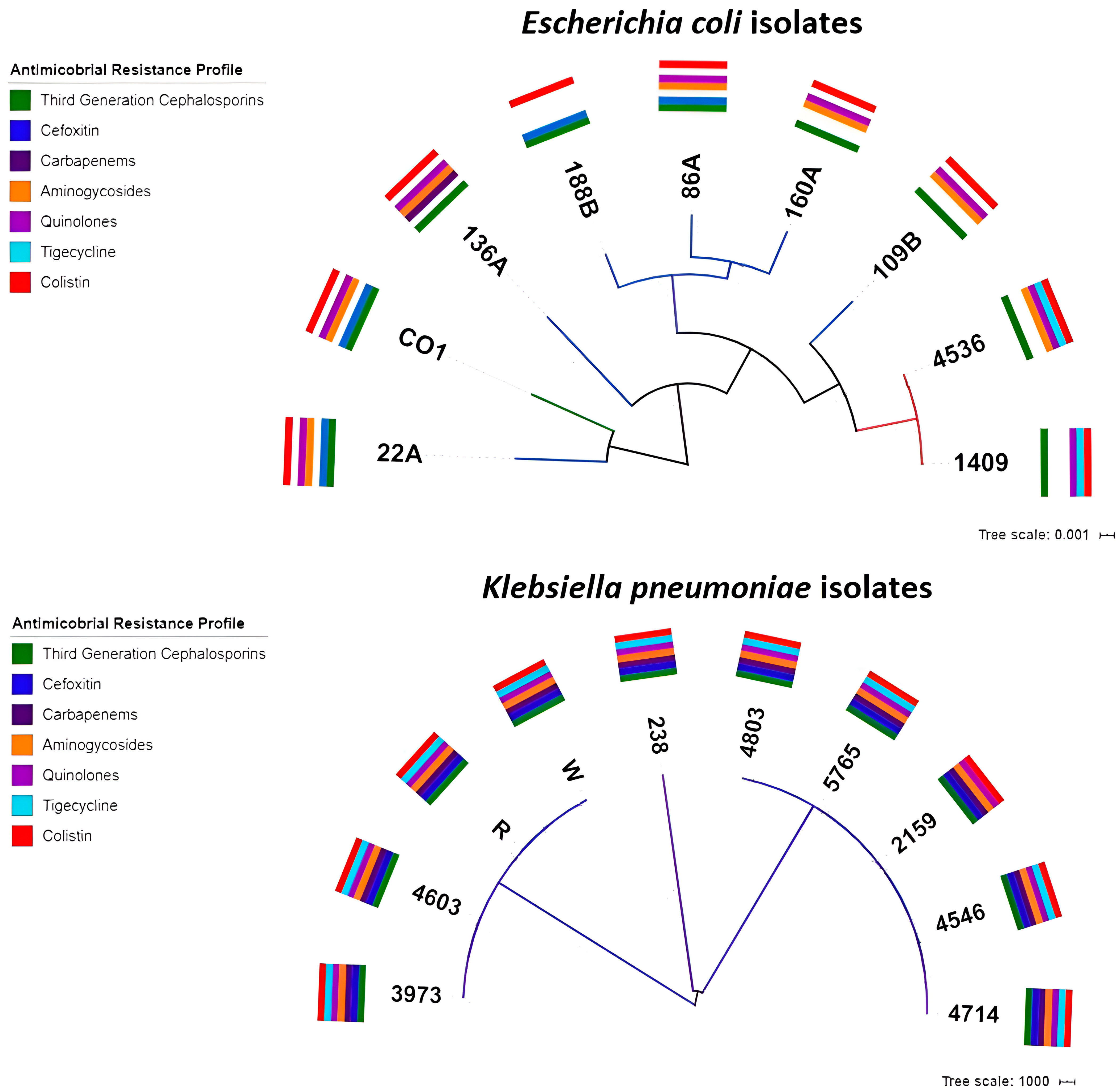 Antibiotics 14 00206 g001 Antibiotics 14 00206 g001