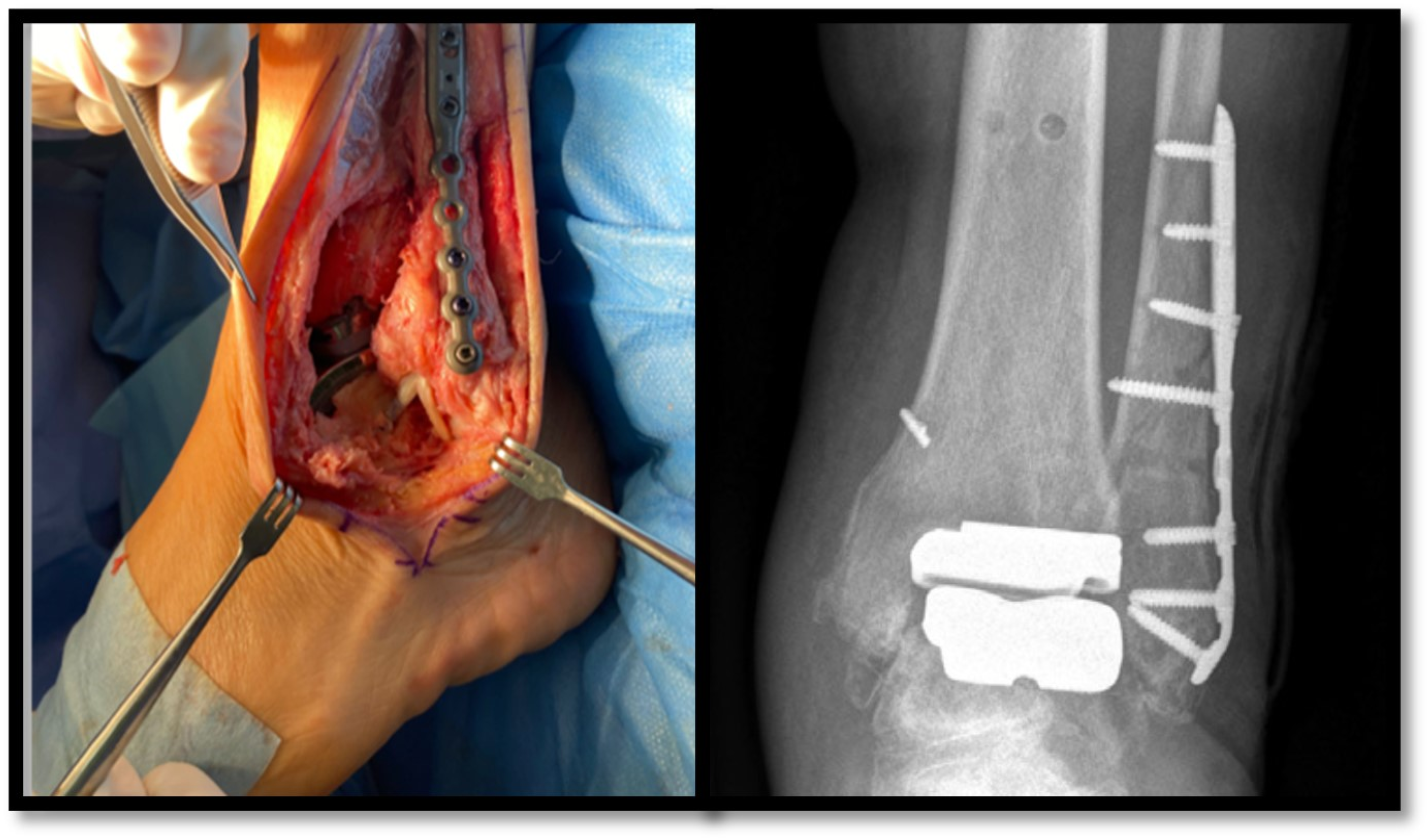 Antibiotics 14 00215 g001