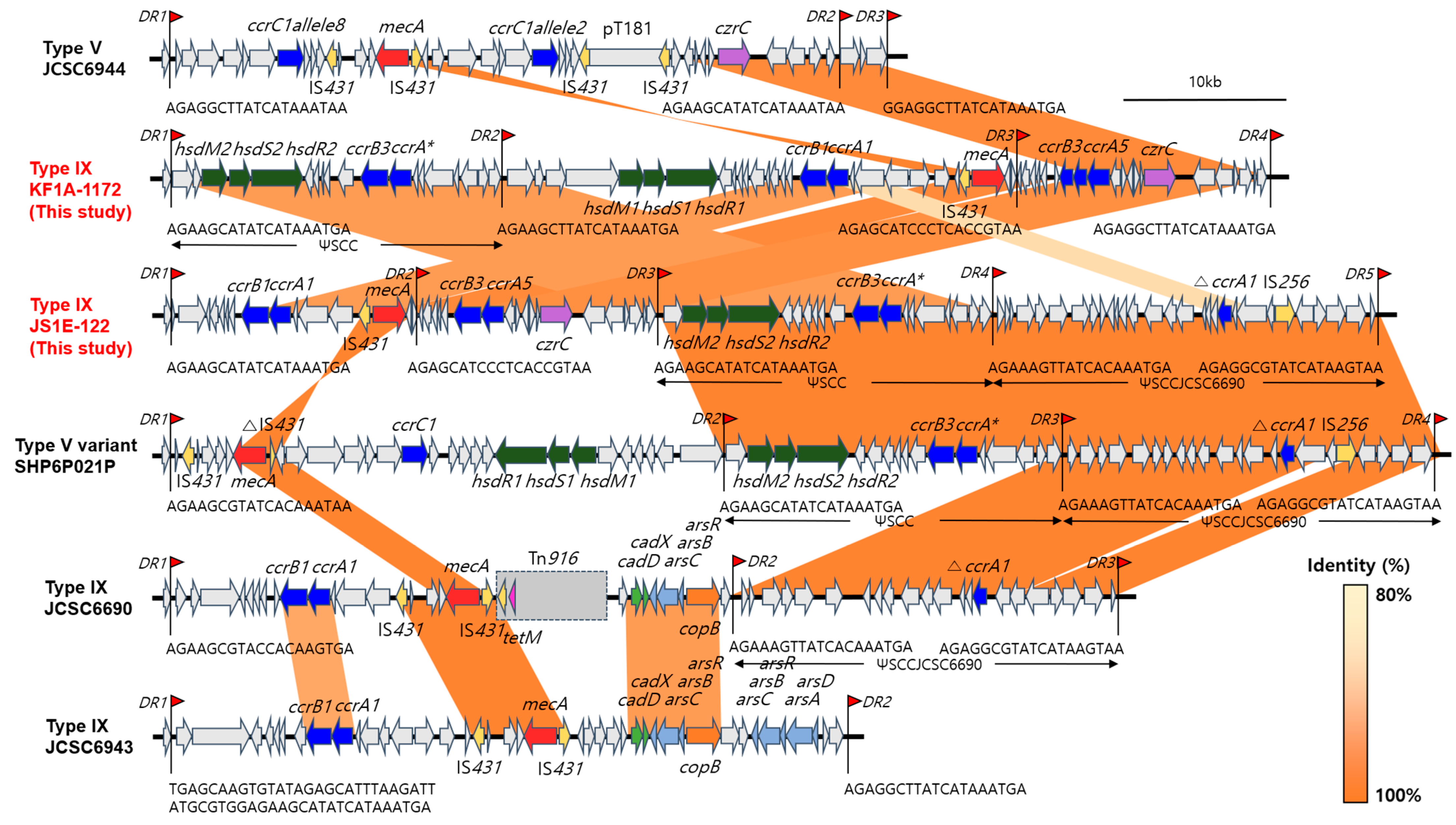 Antibiotics 14 00217 g001