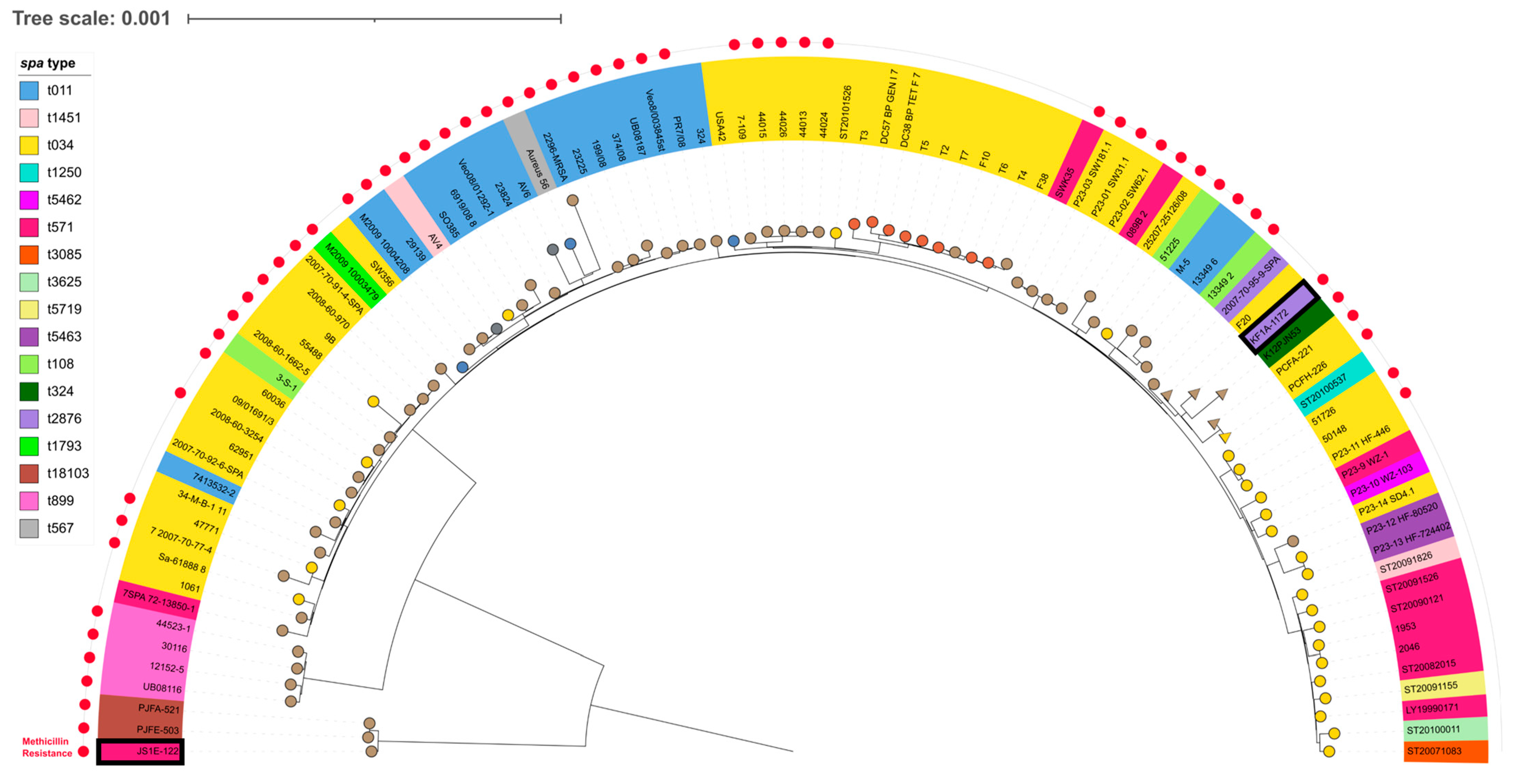Antibiotics 14 00217 g002