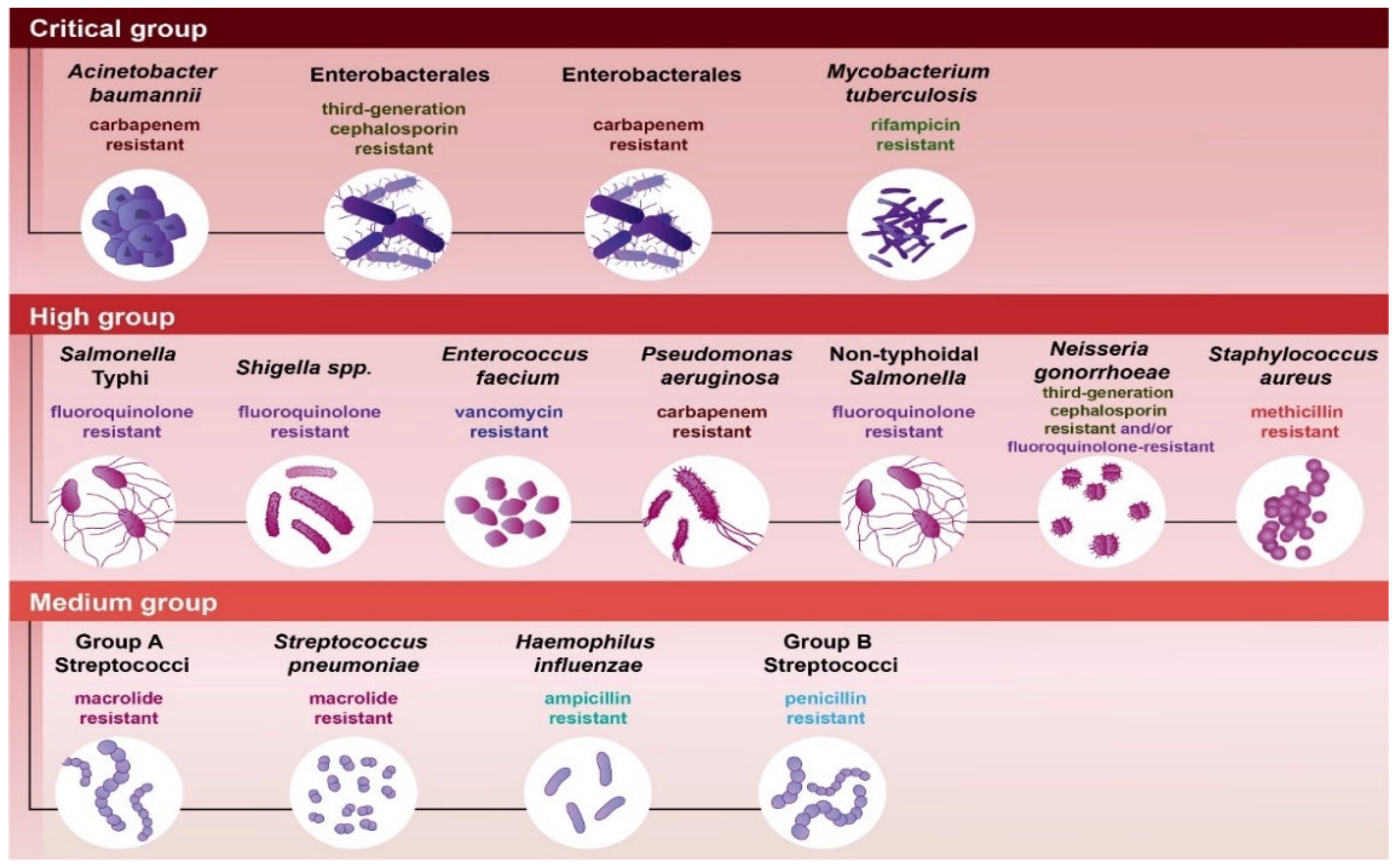 Antibiotics 14 00221 g001 Antibiotics 14 00221 g001