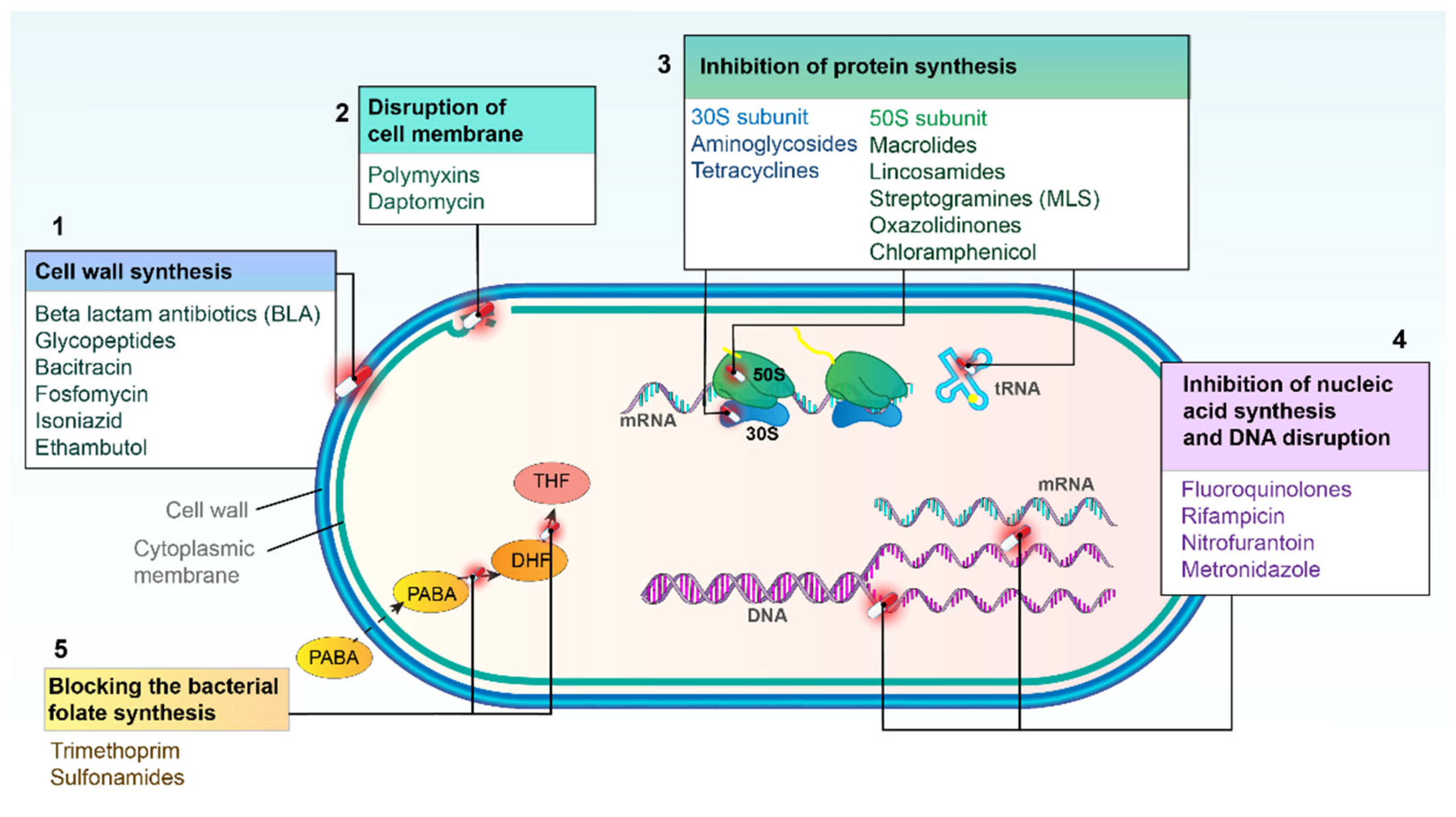 Antibiotics 14 00221 g002 Antibiotics 14 00221 g002