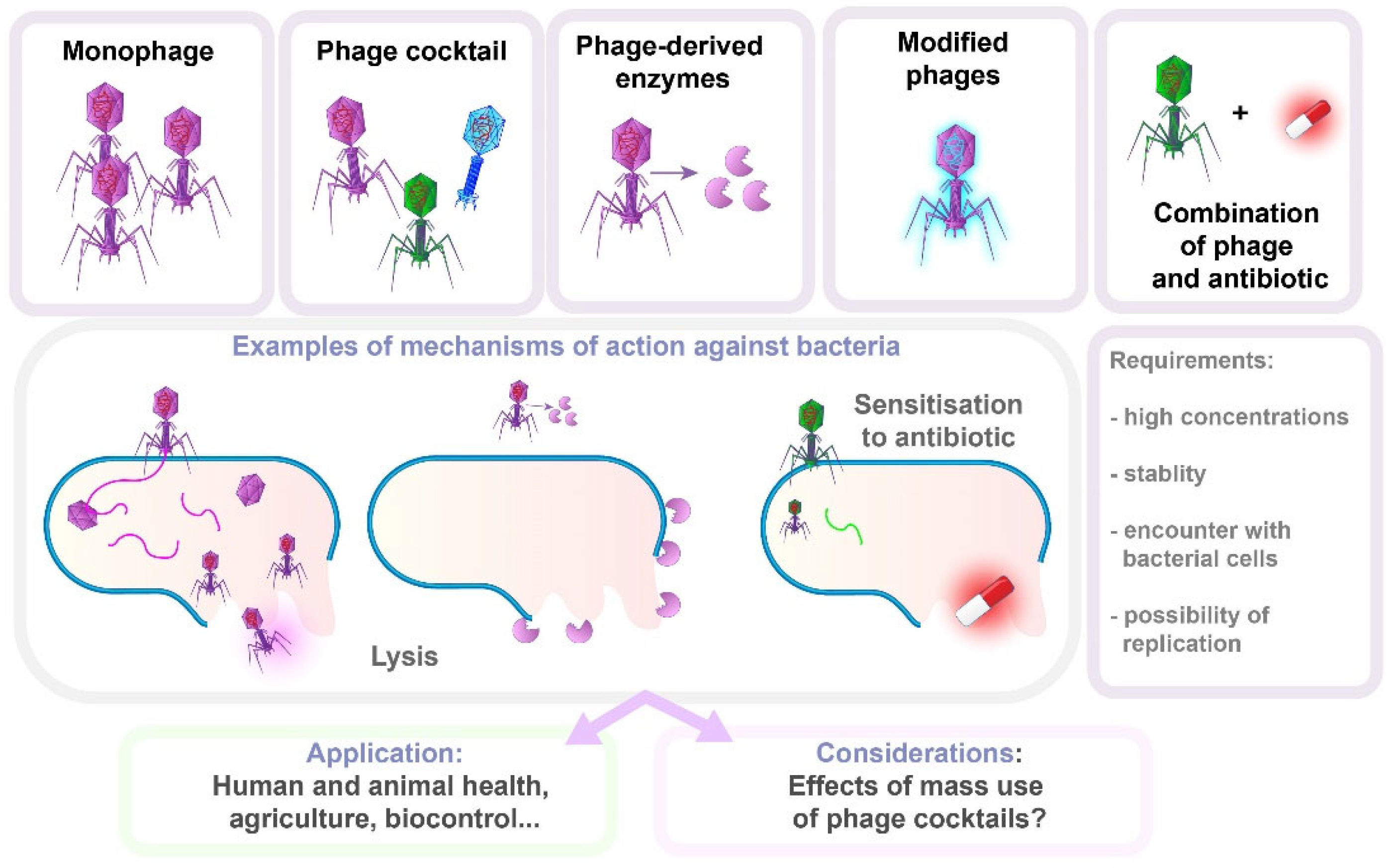 Antibiotics 14 00221 g007 Antibiotics 14 00221 g007
