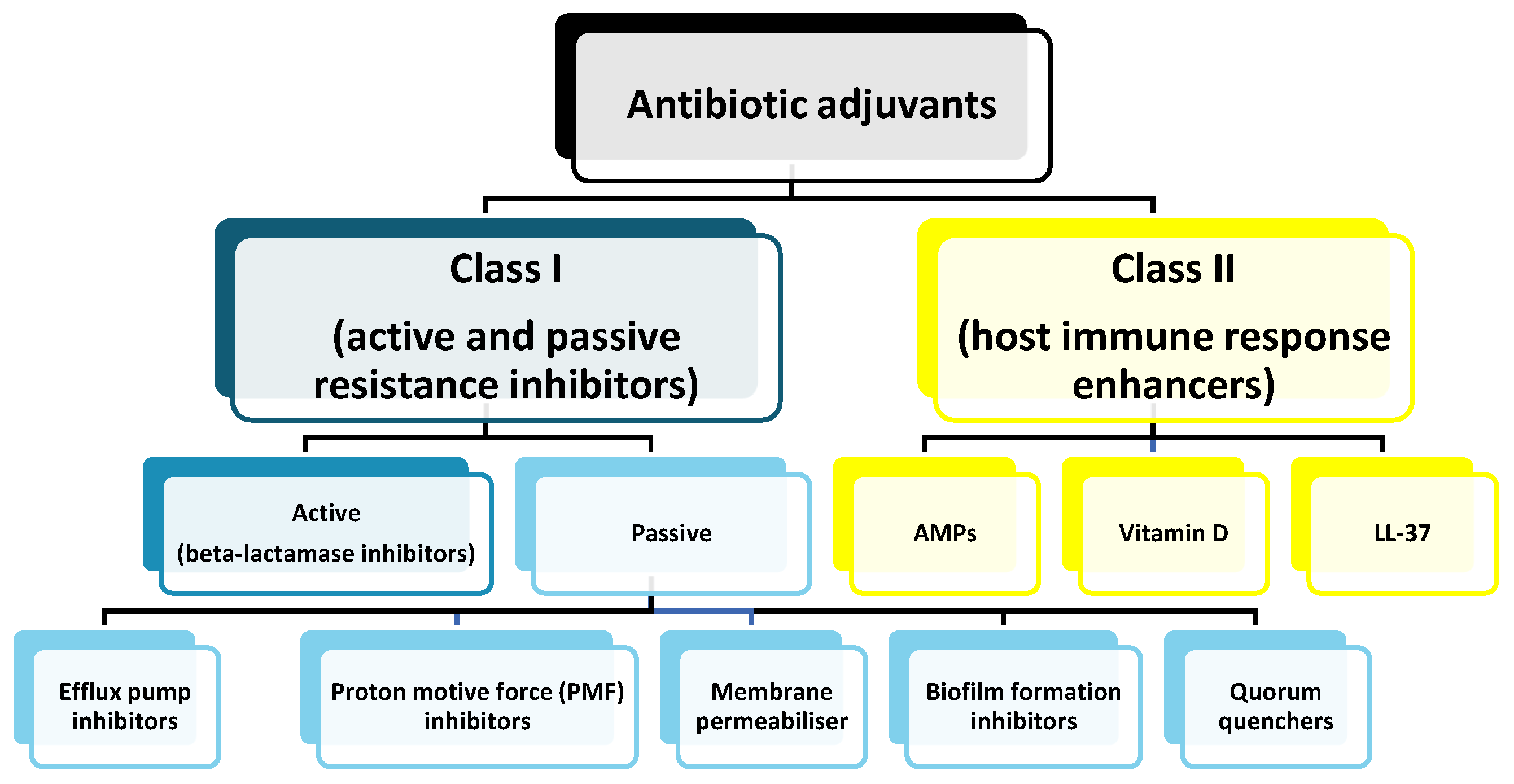 Antibiotics 14 00221 g008 Antibiotics 14 00221 g008