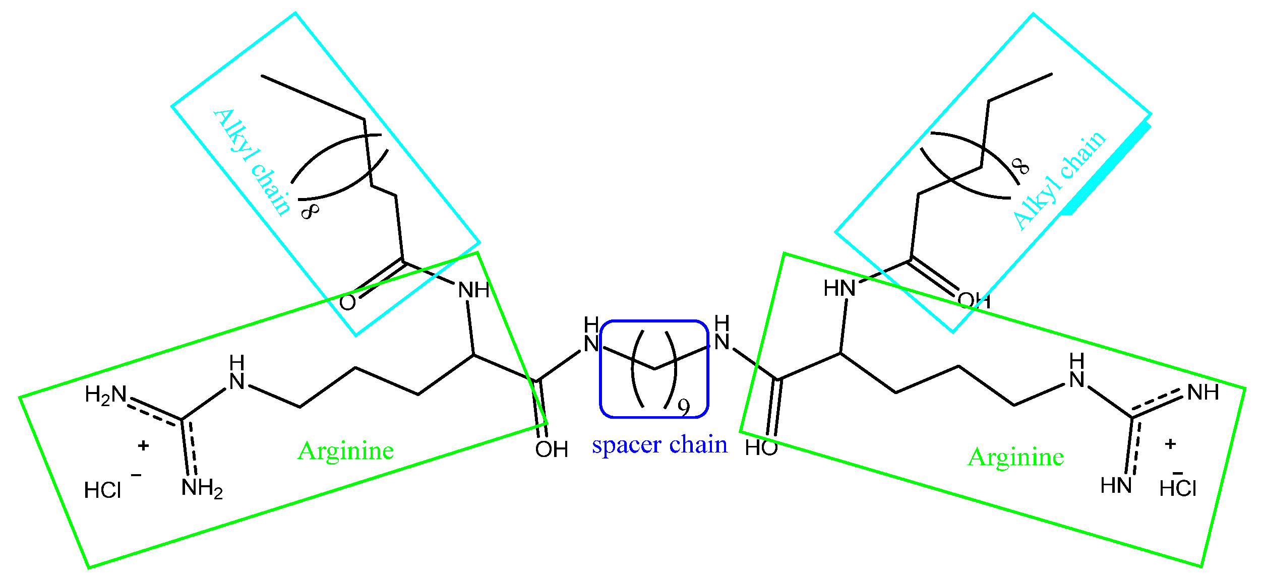 Antibiotics 14 00227 sch001