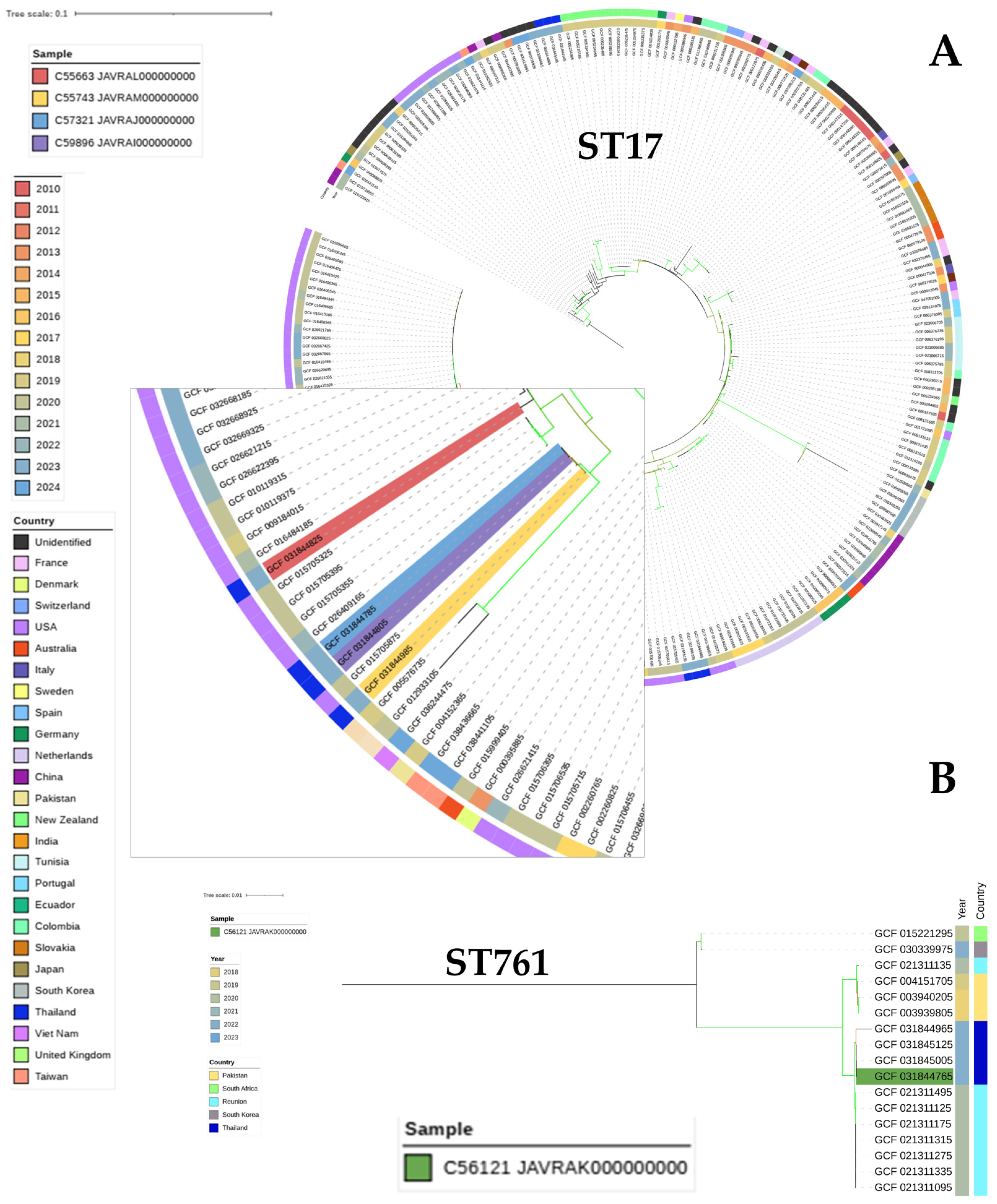 Antibiotics 14 00229 g002