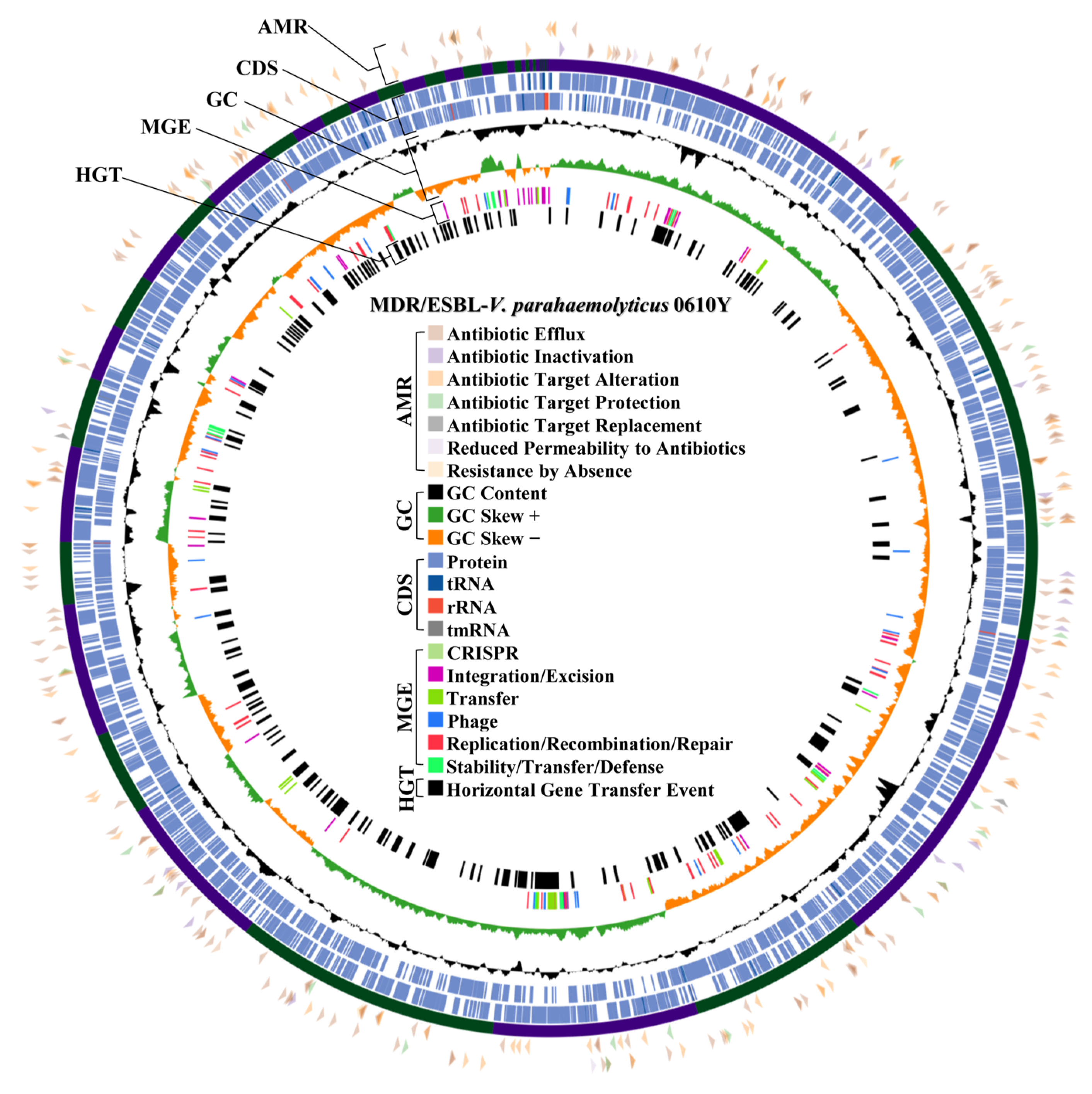 Antibiotics 14 00235 g004