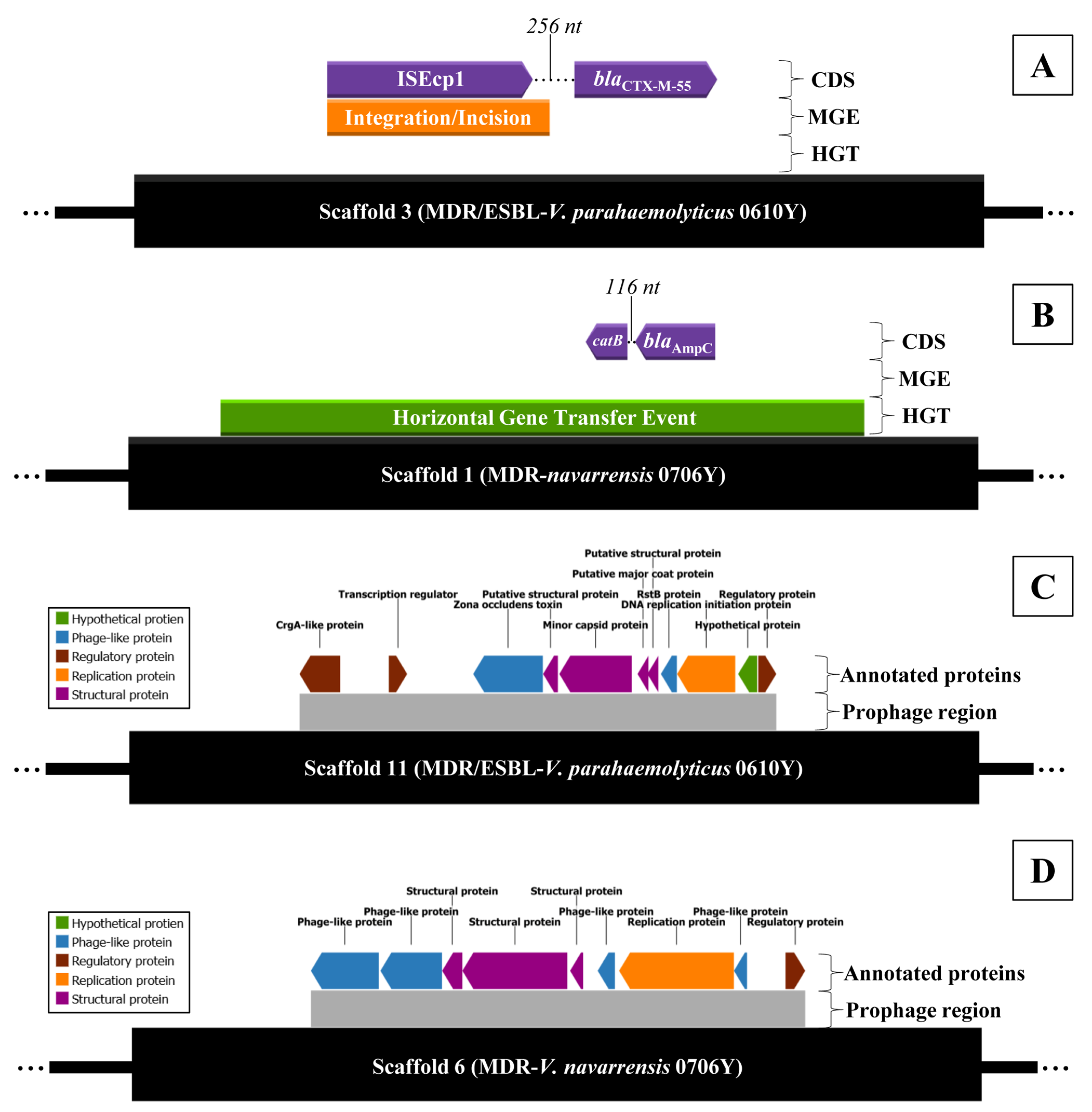 Antibiotics 14 00235 g006