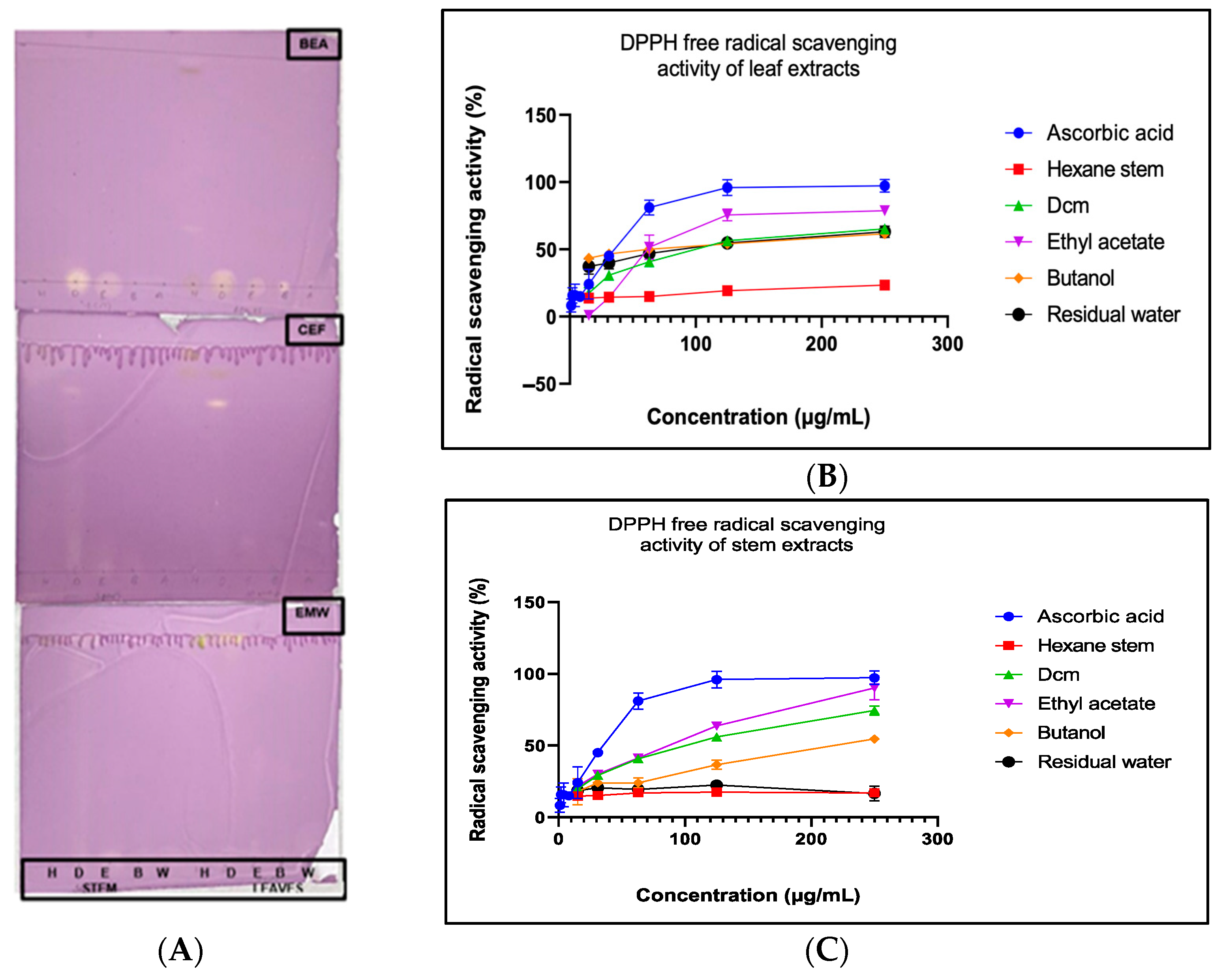 Antibiotics 14 00238 g002