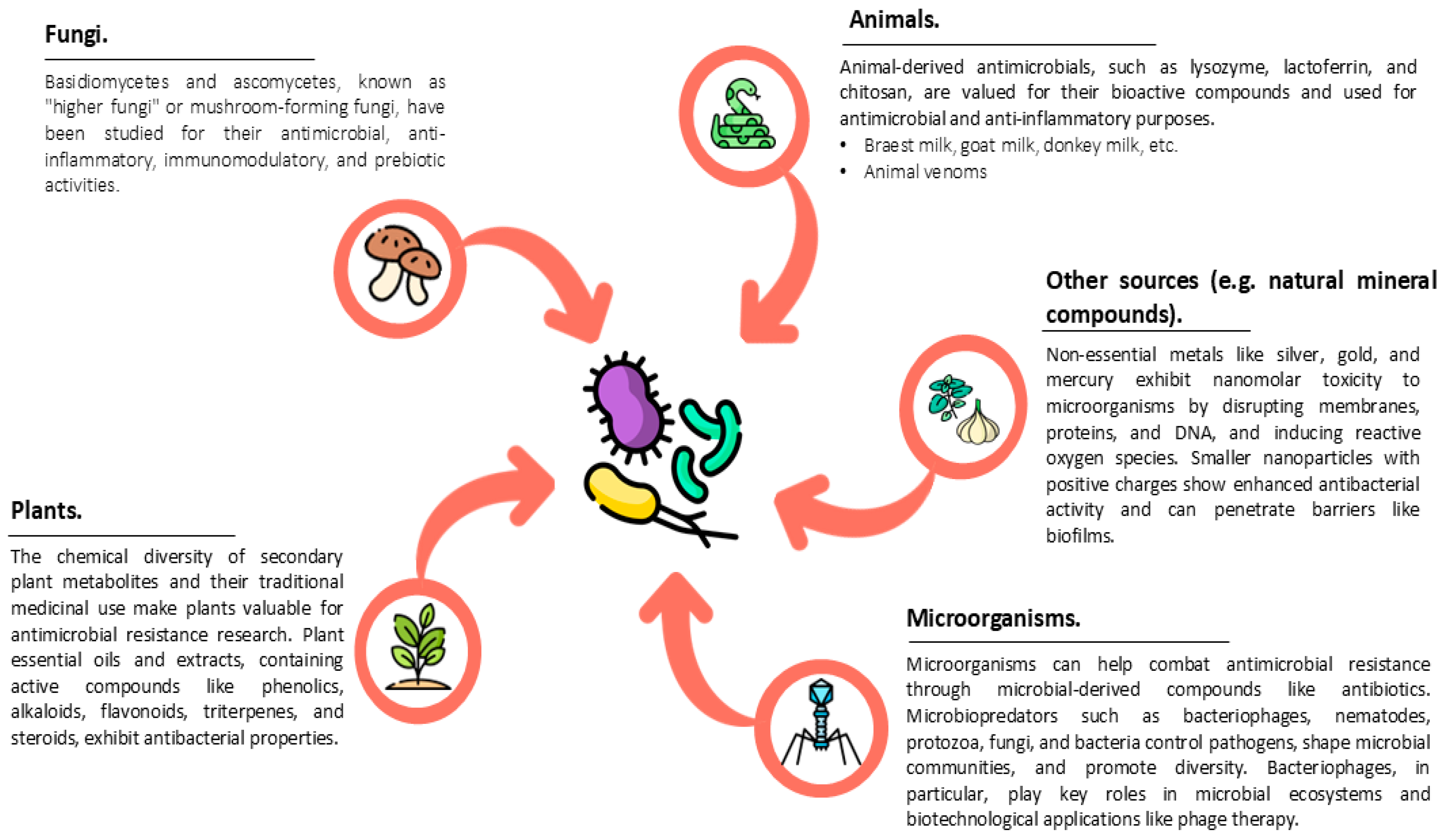 Antibiotics 14 00253 g001 Antibiotics 14 00253 g001