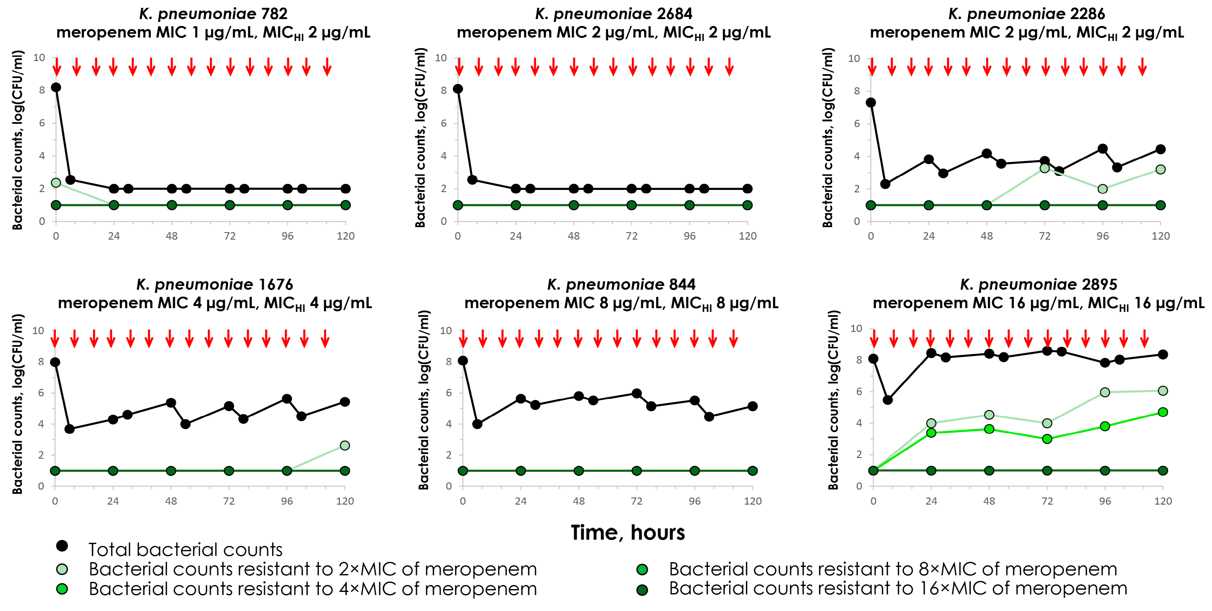 Antibiotics 14 00258 g001