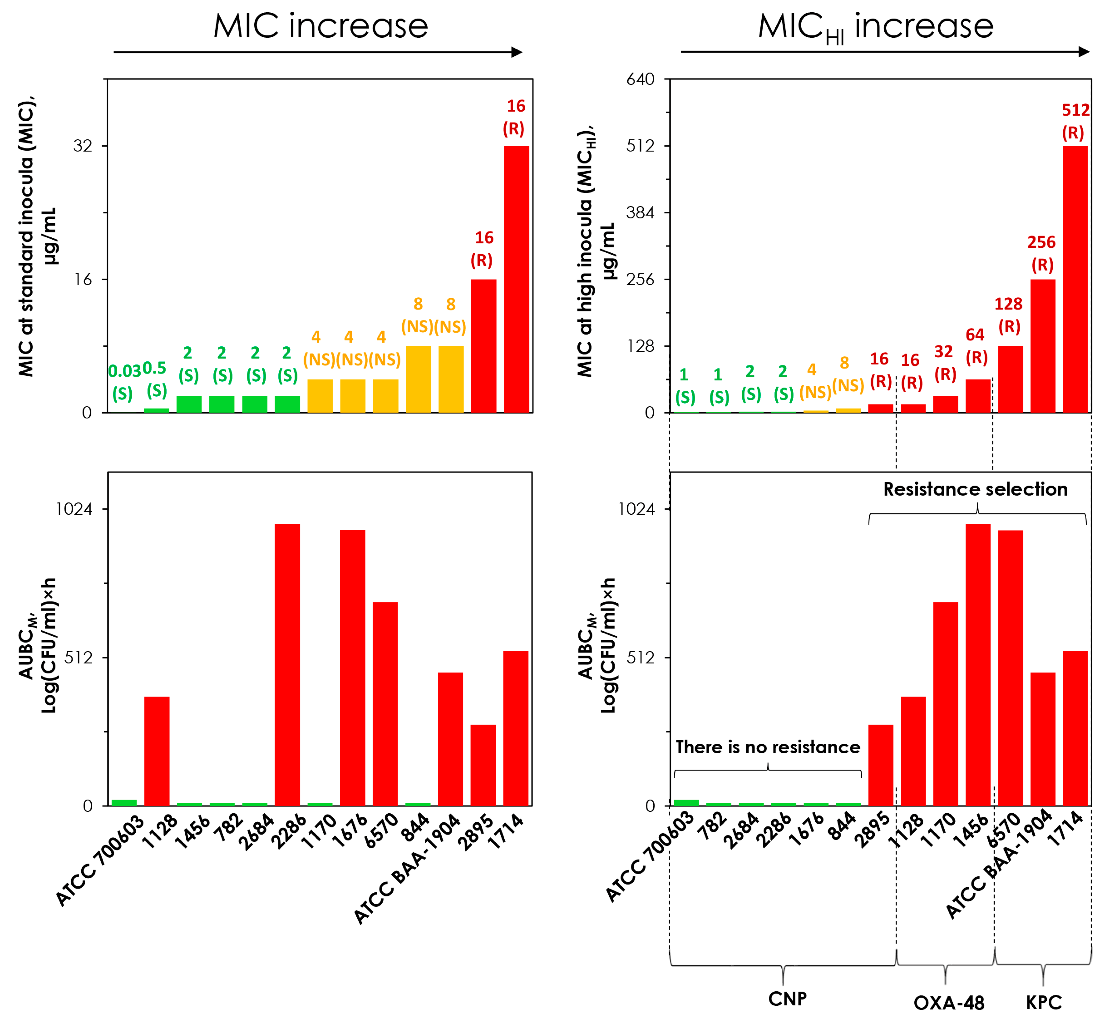 Antibiotics 14 00258 g006