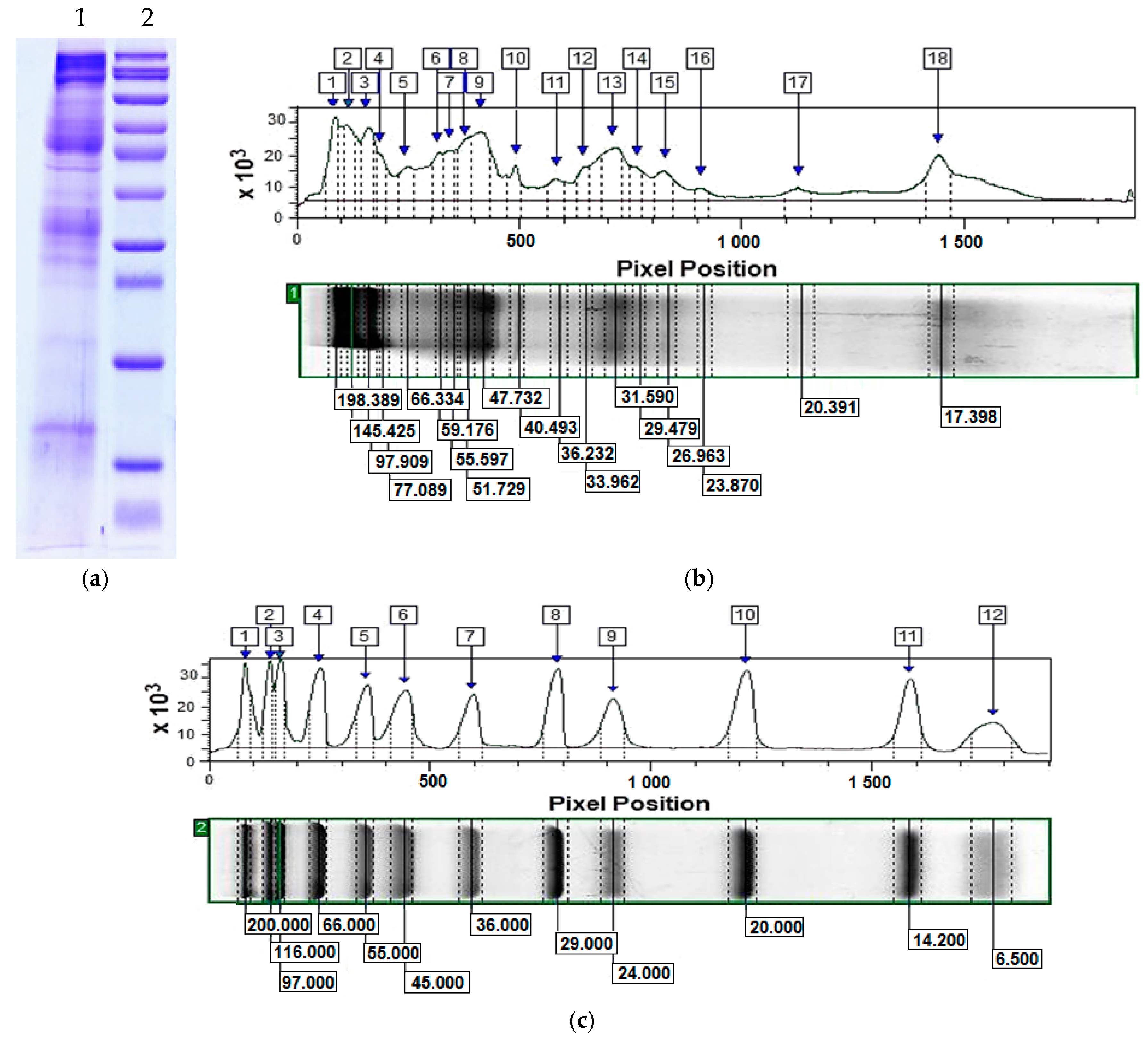 Antibiotics 14 00260 g001