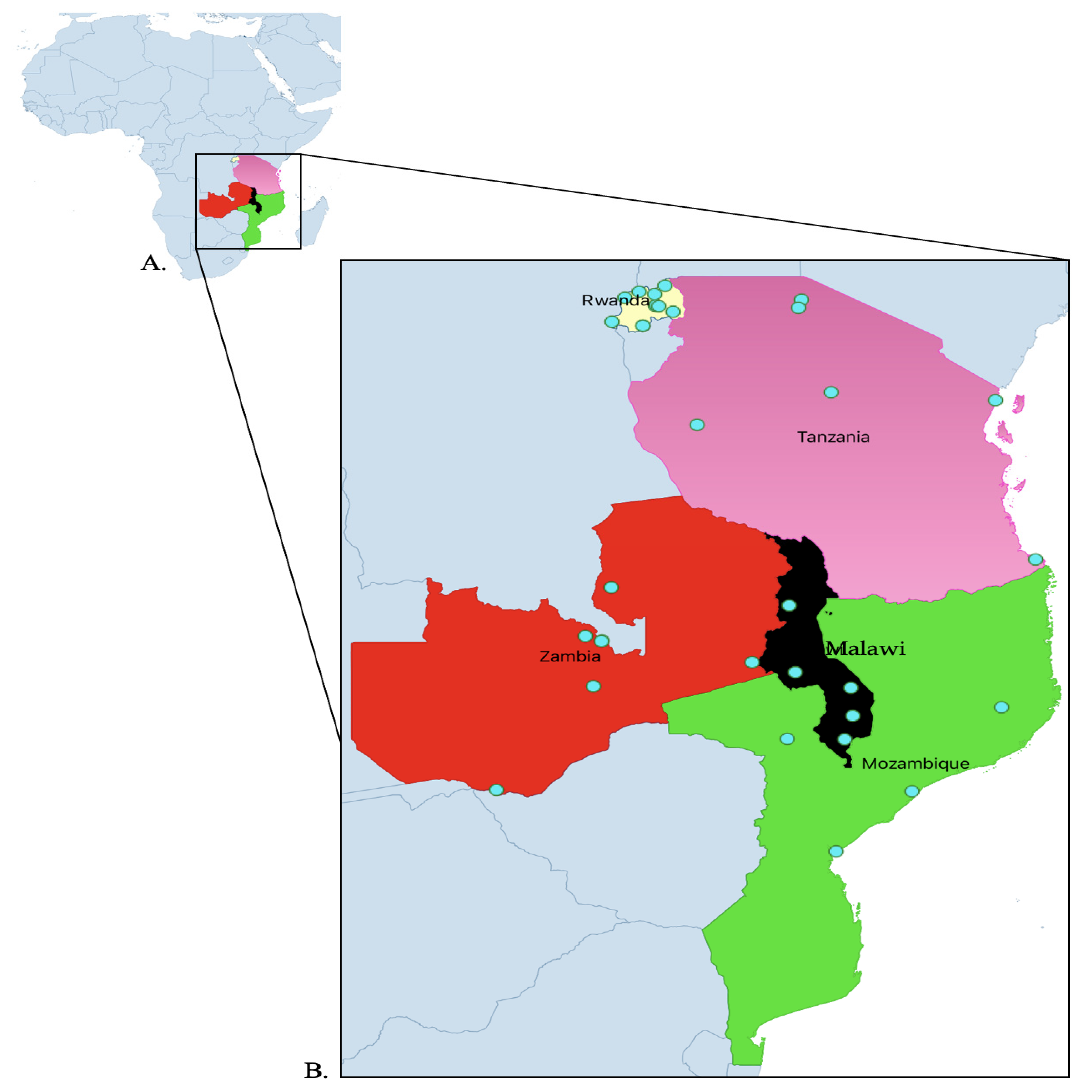 Antibiotics 14 00266 g007