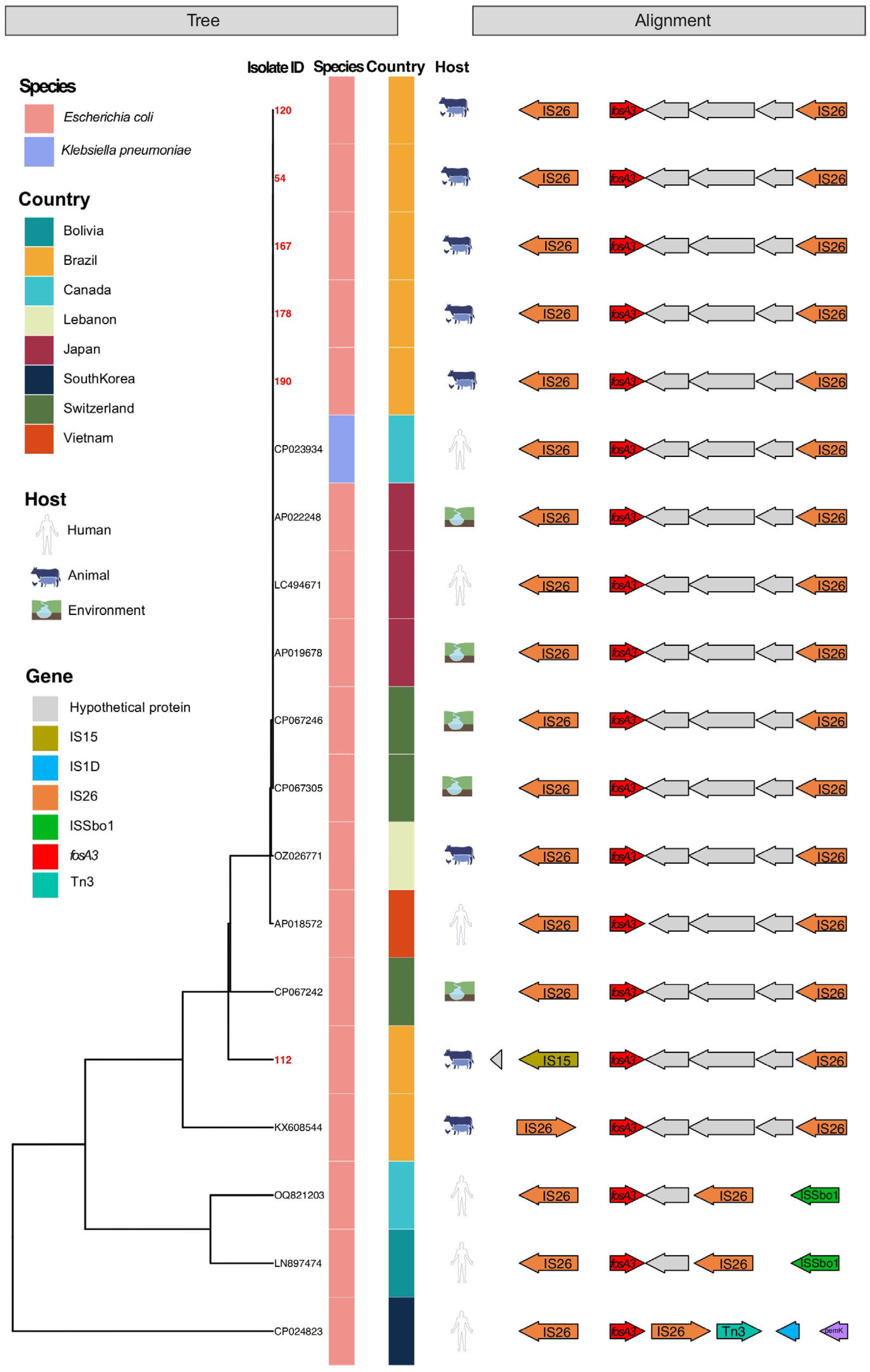 Antibiotics 14 00269 g001 Antibiotics 14 00269 g001