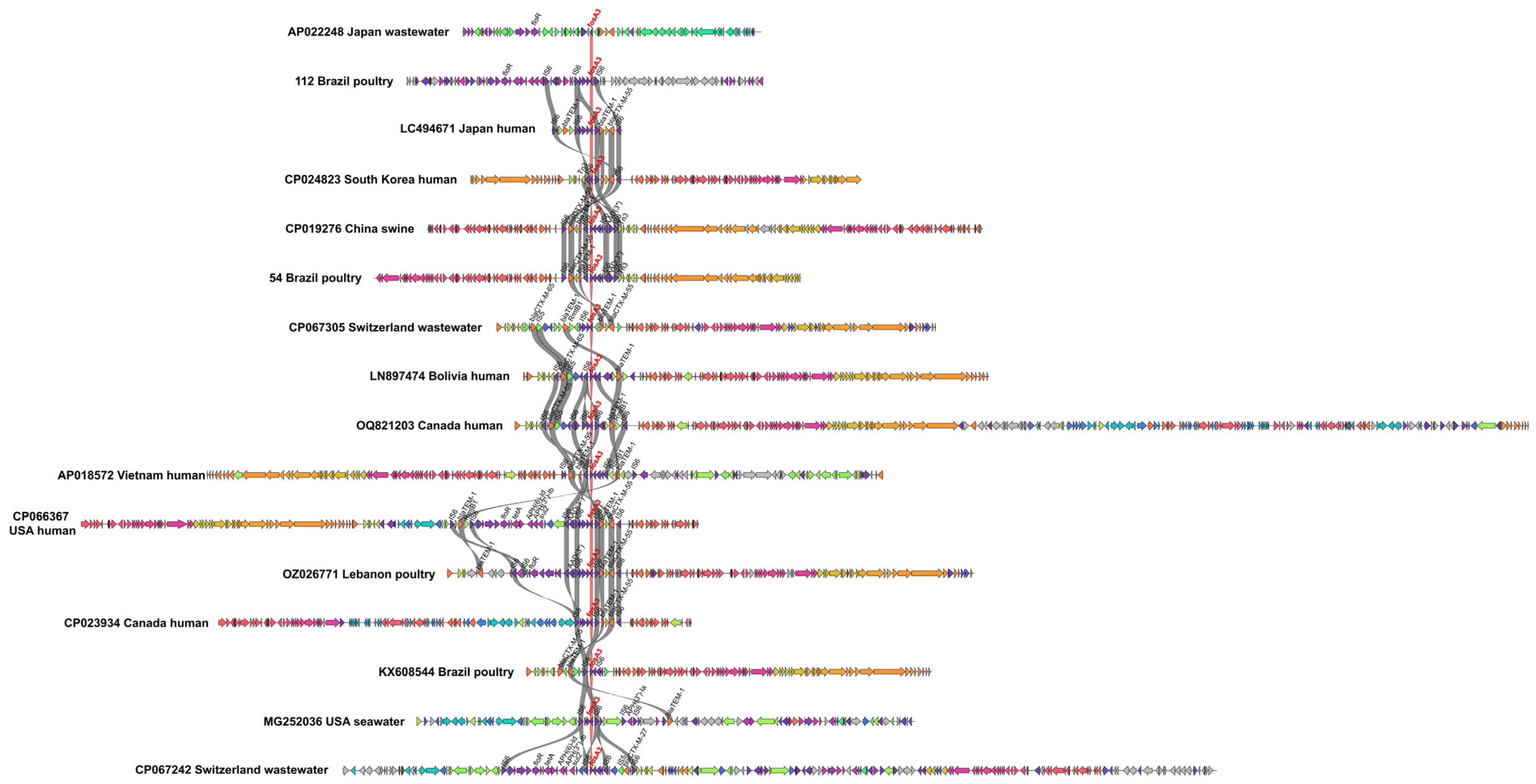 Antibiotics 14 00269 g002 Antibiotics 14 00269 g002